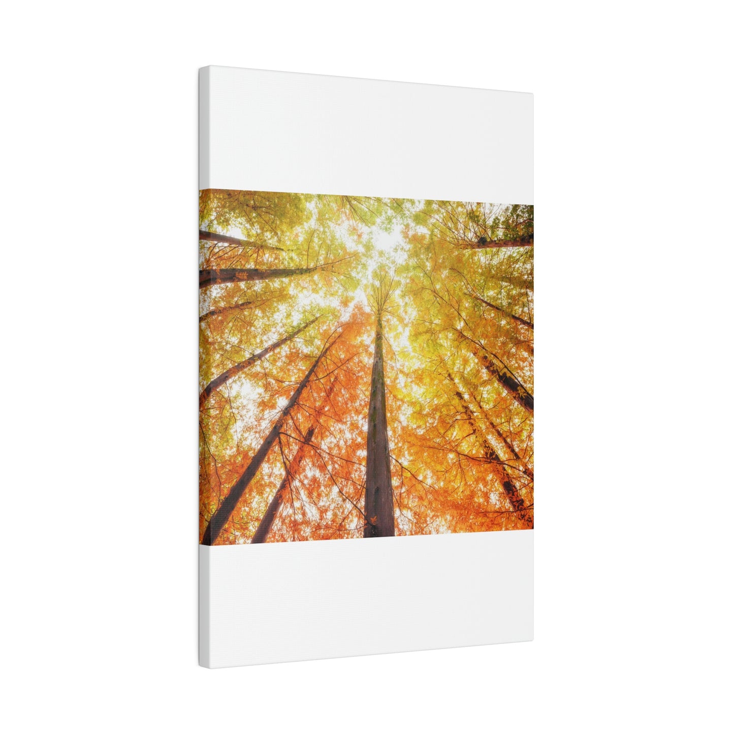 A fall Dream on Matte Canvas, Stretched, 0.75"