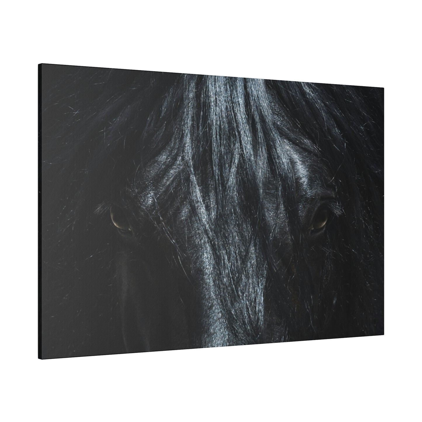 Black horse Face on Matte Canvas, Stretched, 0.75"