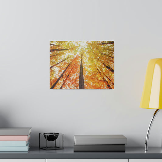 A fall Dream on Matte Canvas, Stretched, 0.75"