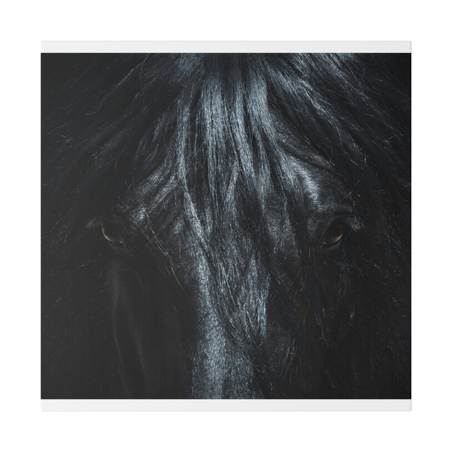 Black horse Face on Matte Canvas, Stretched, 0.75"