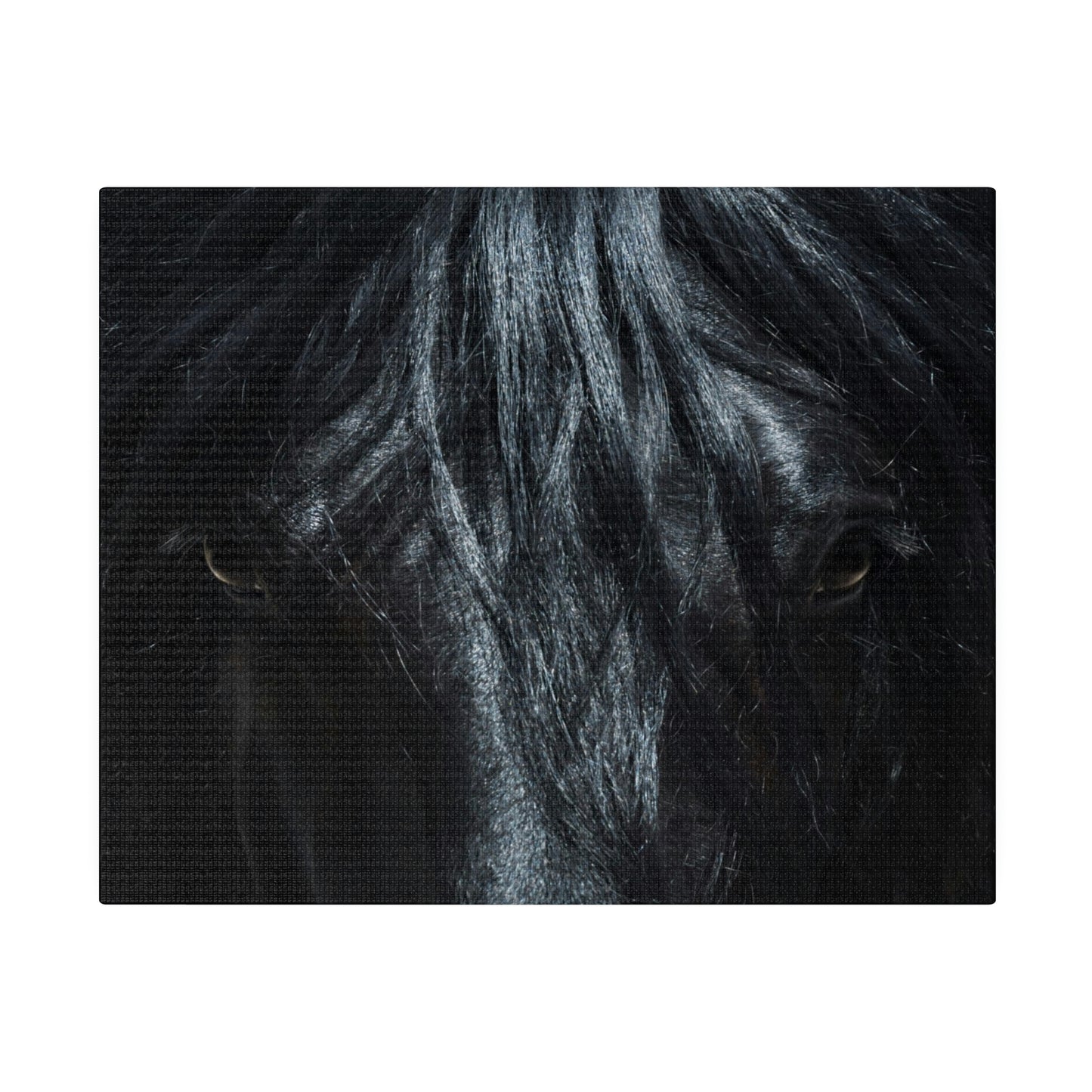 Black horse Face on Matte Canvas, Stretched, 0.75"