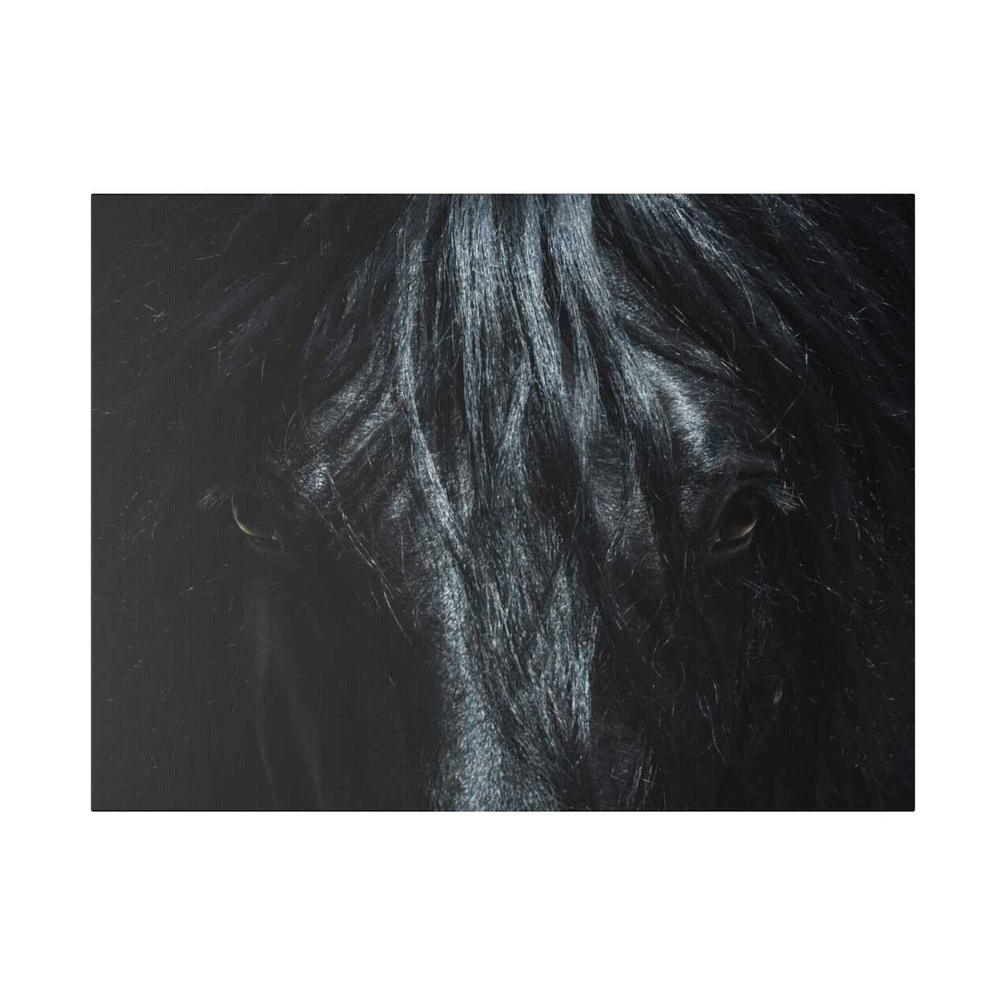 Black horse Face on Matte Canvas, Stretched, 0.75"