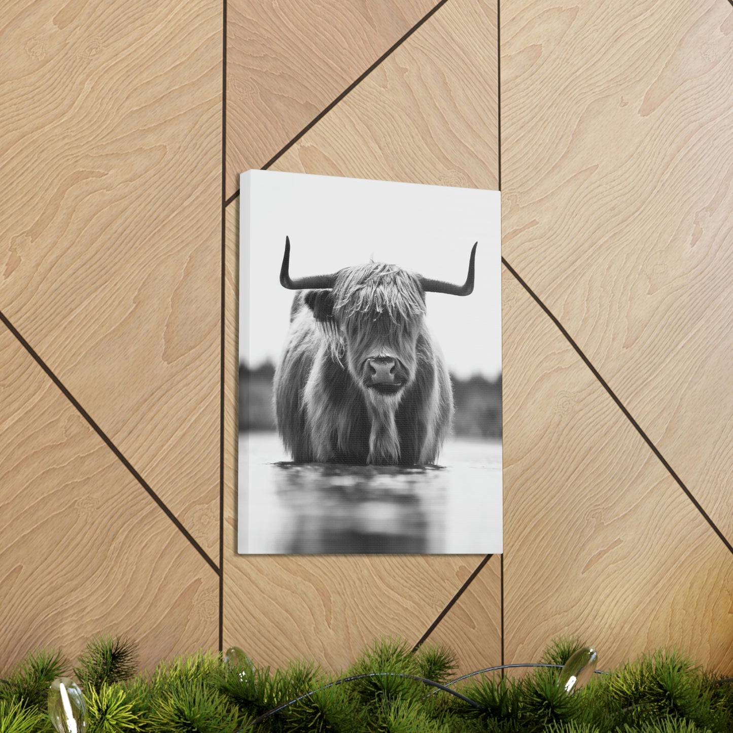 Highland Cow in water