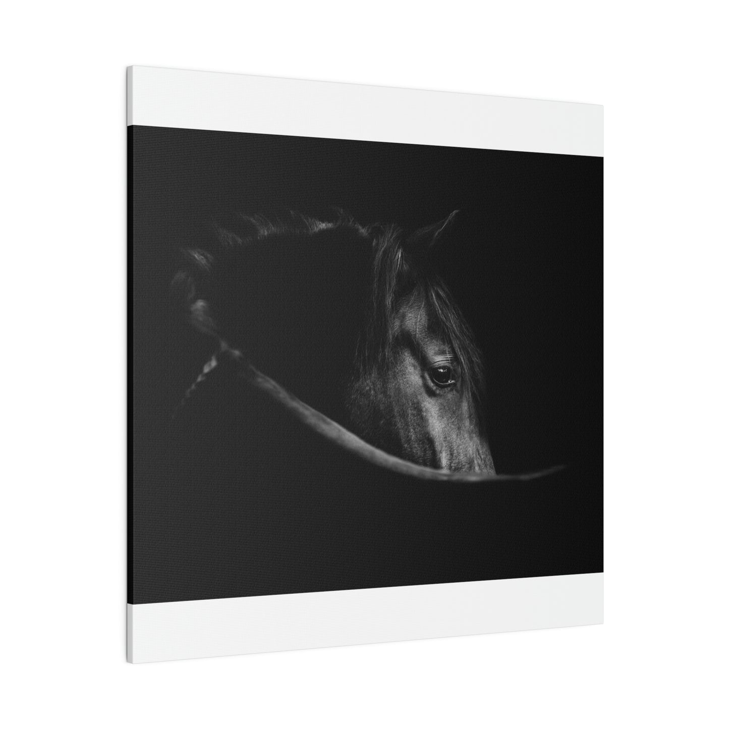 Black Beauty on Matte Canvas, Stretched, 0.75"