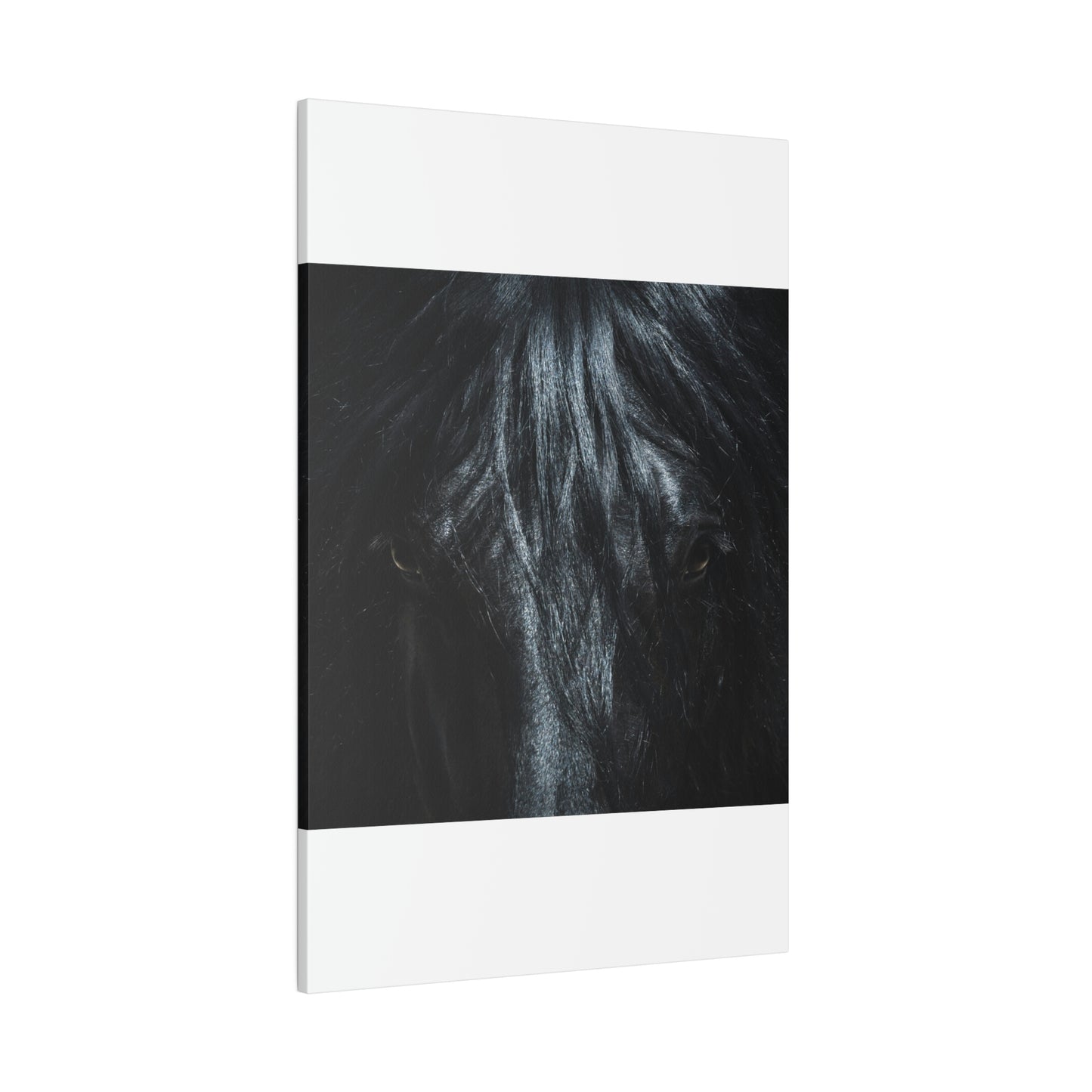 Black horse Face on Matte Canvas, Stretched, 0.75"