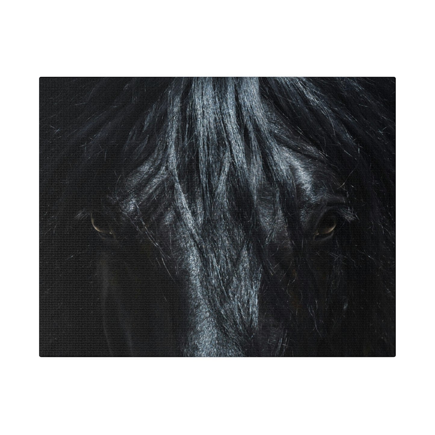 Black horse Face on Matte Canvas, Stretched, 0.75"