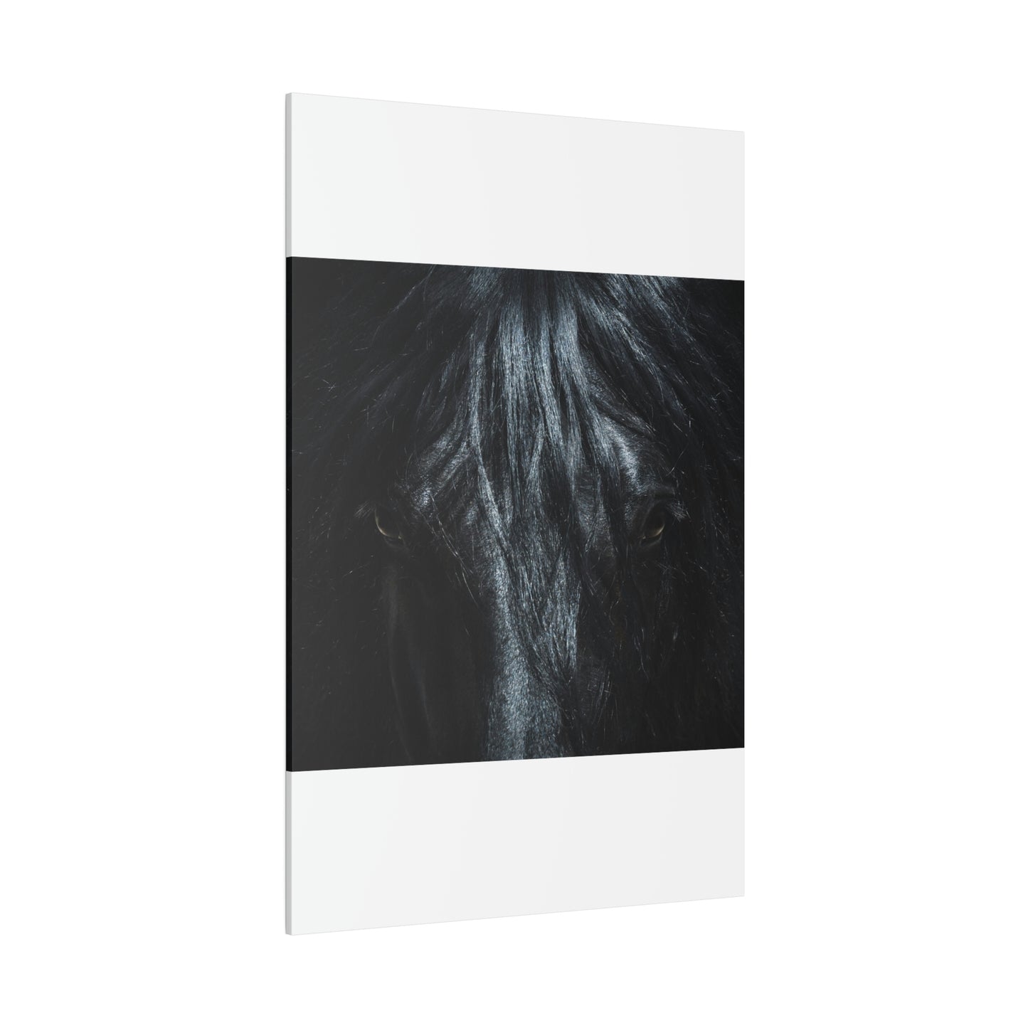 Black horse Face on Matte Canvas, Stretched, 0.75"