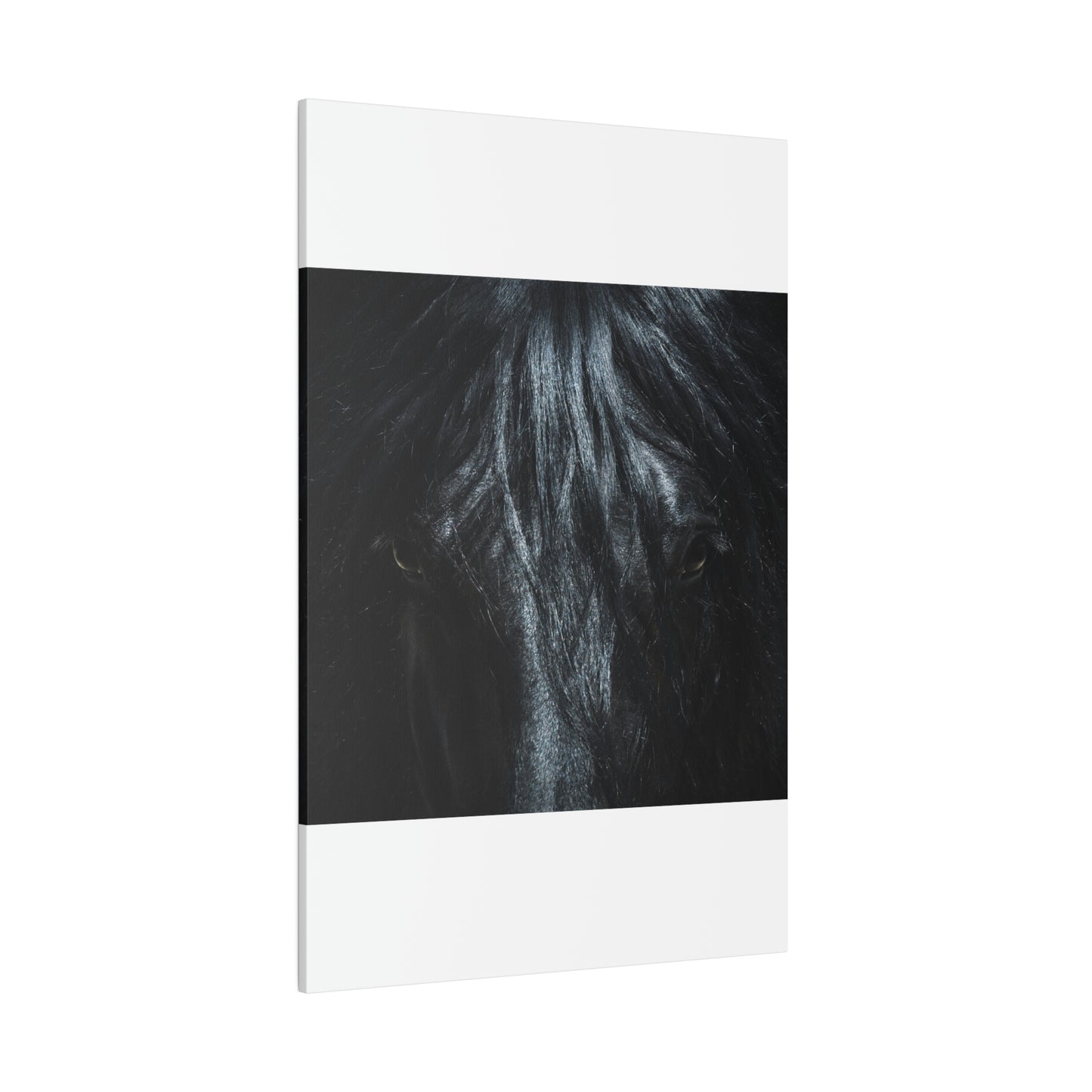 Black horse Face on Matte Canvas, Stretched, 0.75"