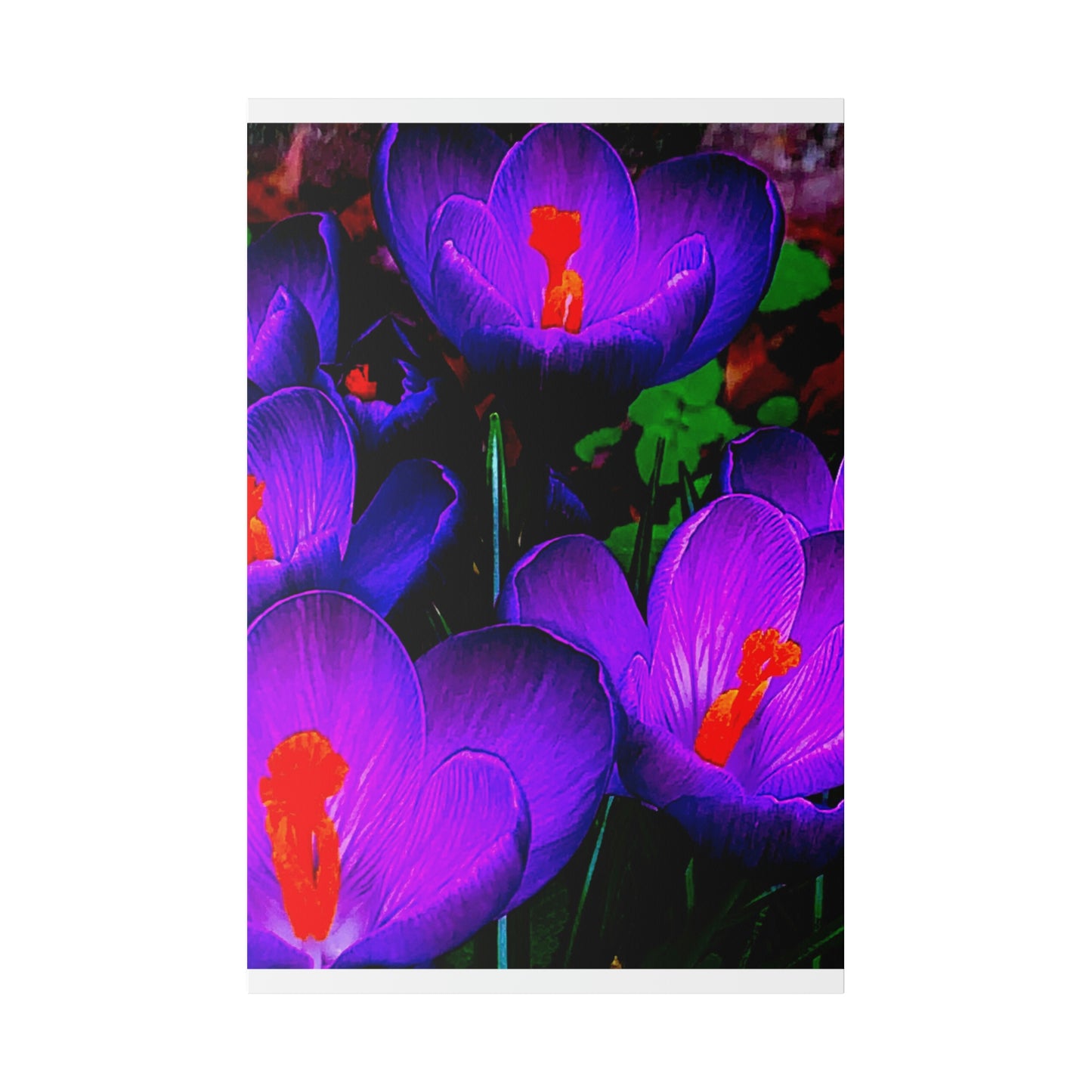 Purple Flowers on Matte Canvas, Stretched, 0.75"