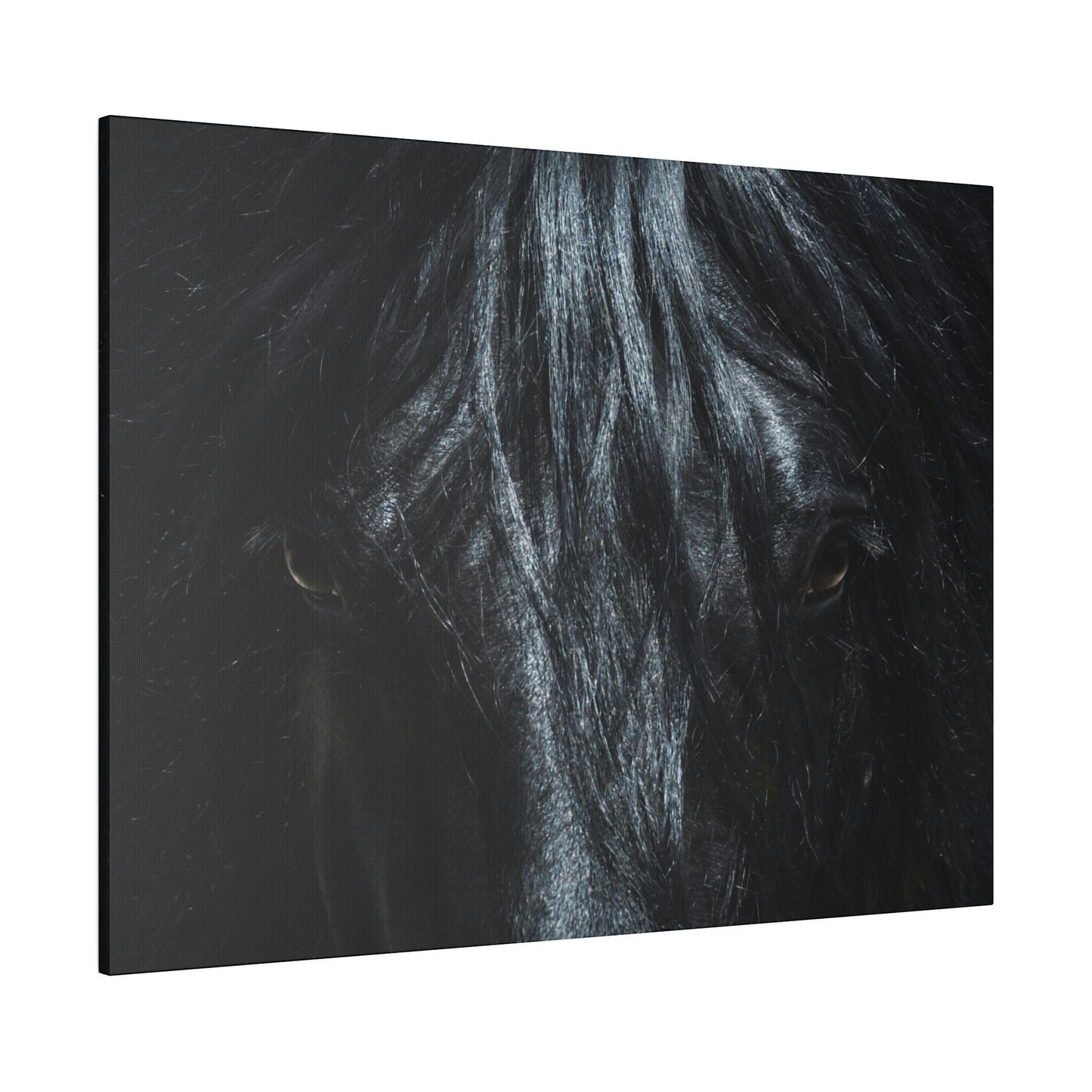 Black horse Face on Matte Canvas, Stretched, 0.75"