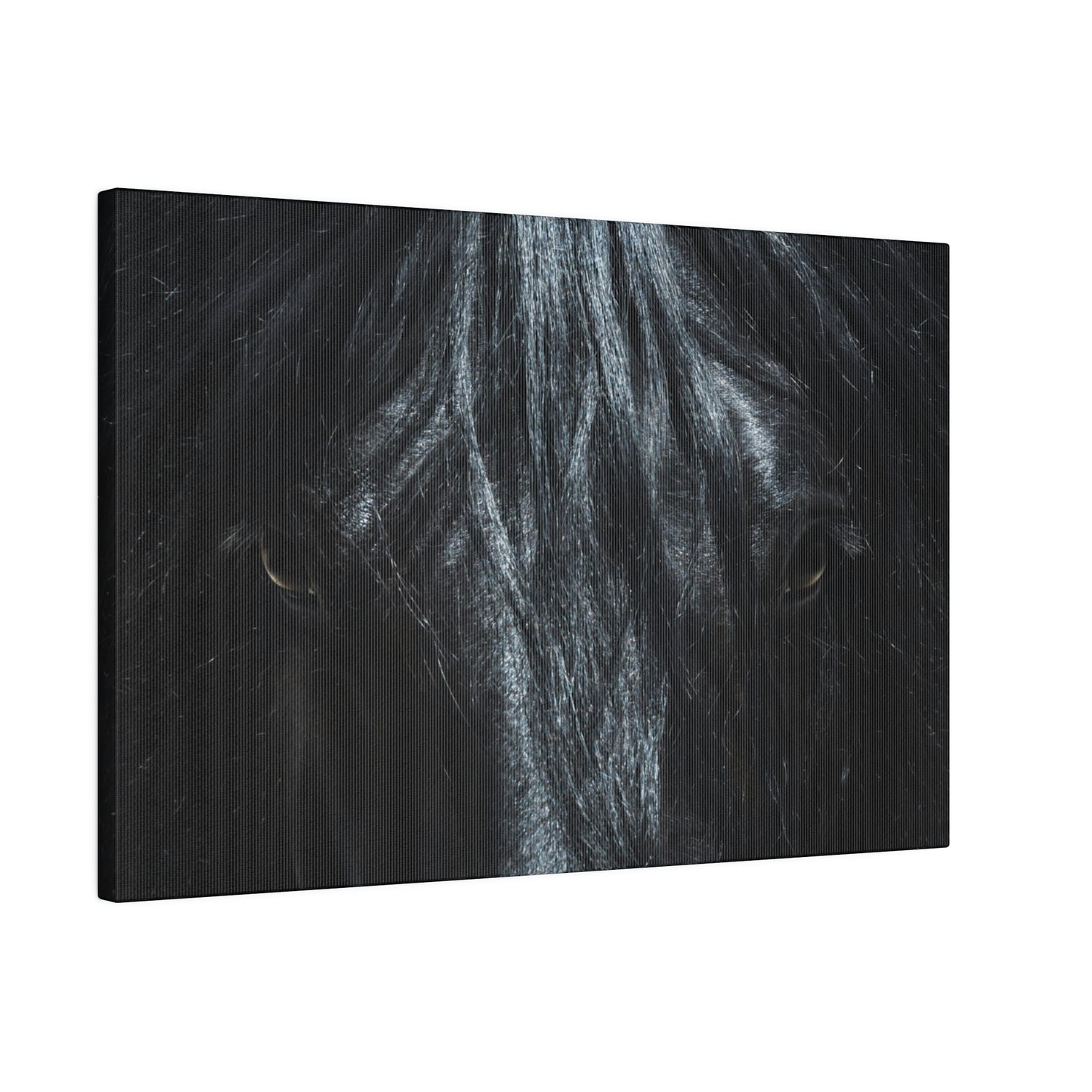 Black horse Face on Matte Canvas, Stretched, 0.75"