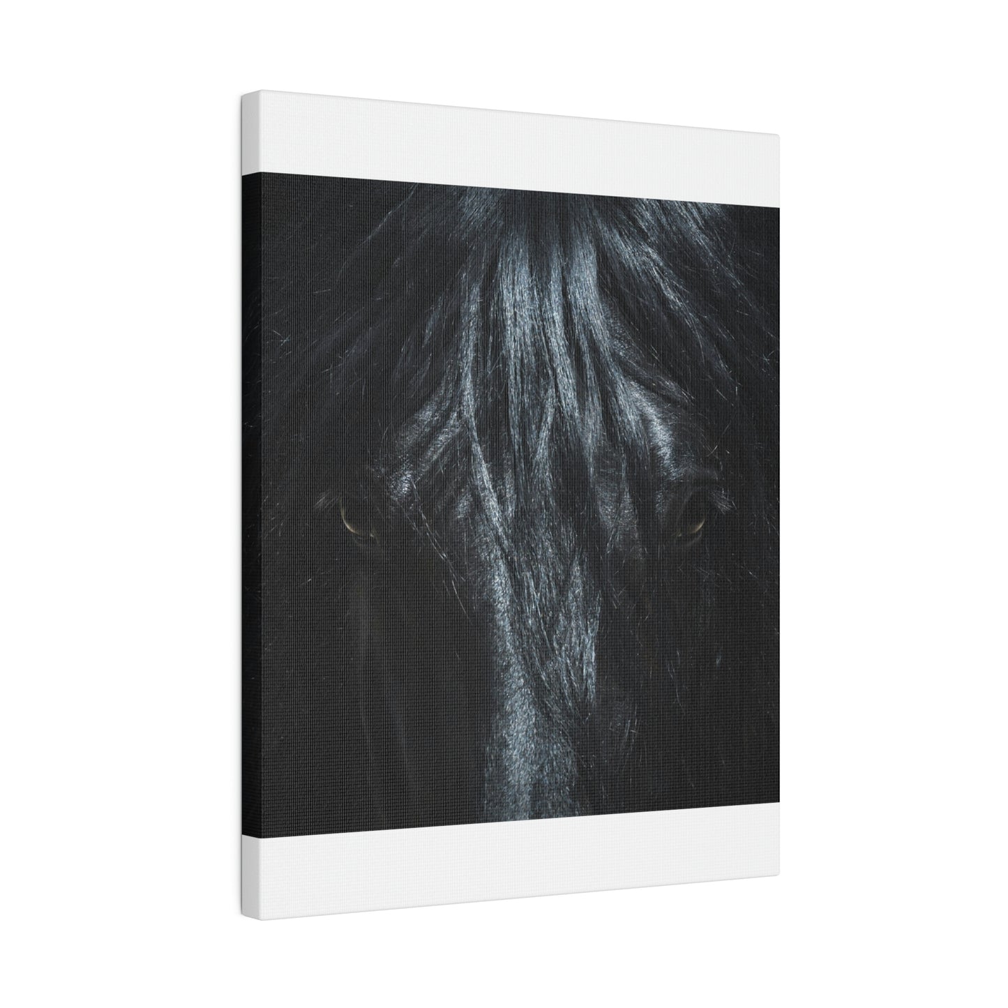 Black horse Face on Matte Canvas, Stretched, 0.75"