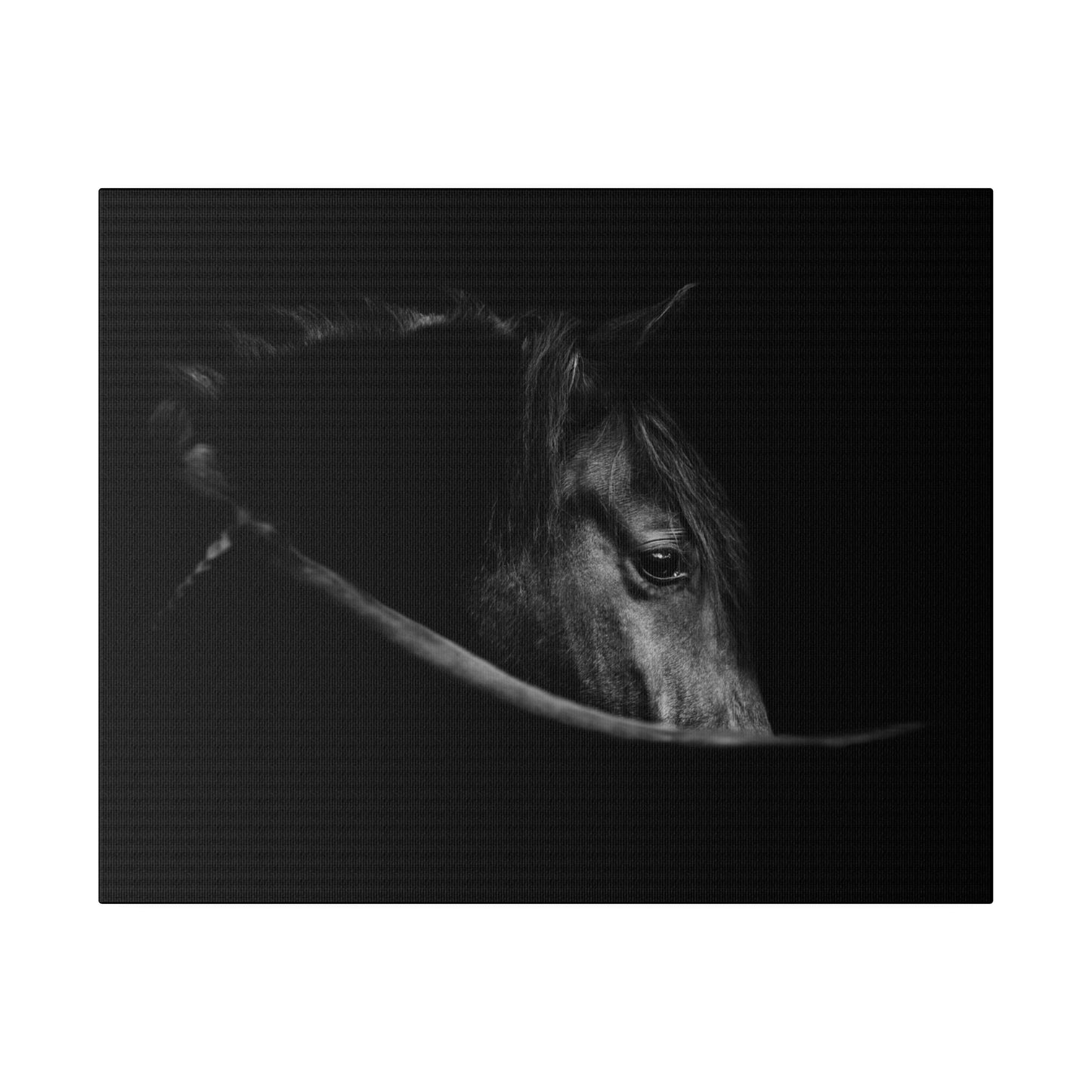 Black Beauty on Matte Canvas, Stretched, 0.75"