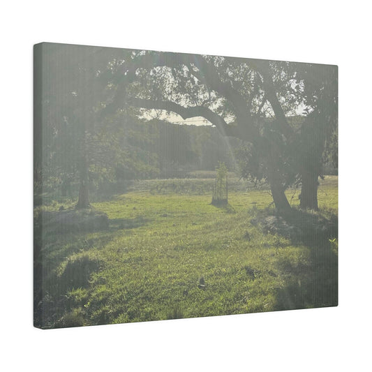 Hill Country Paradise on Matte Canvas, Stretched, 0.75"