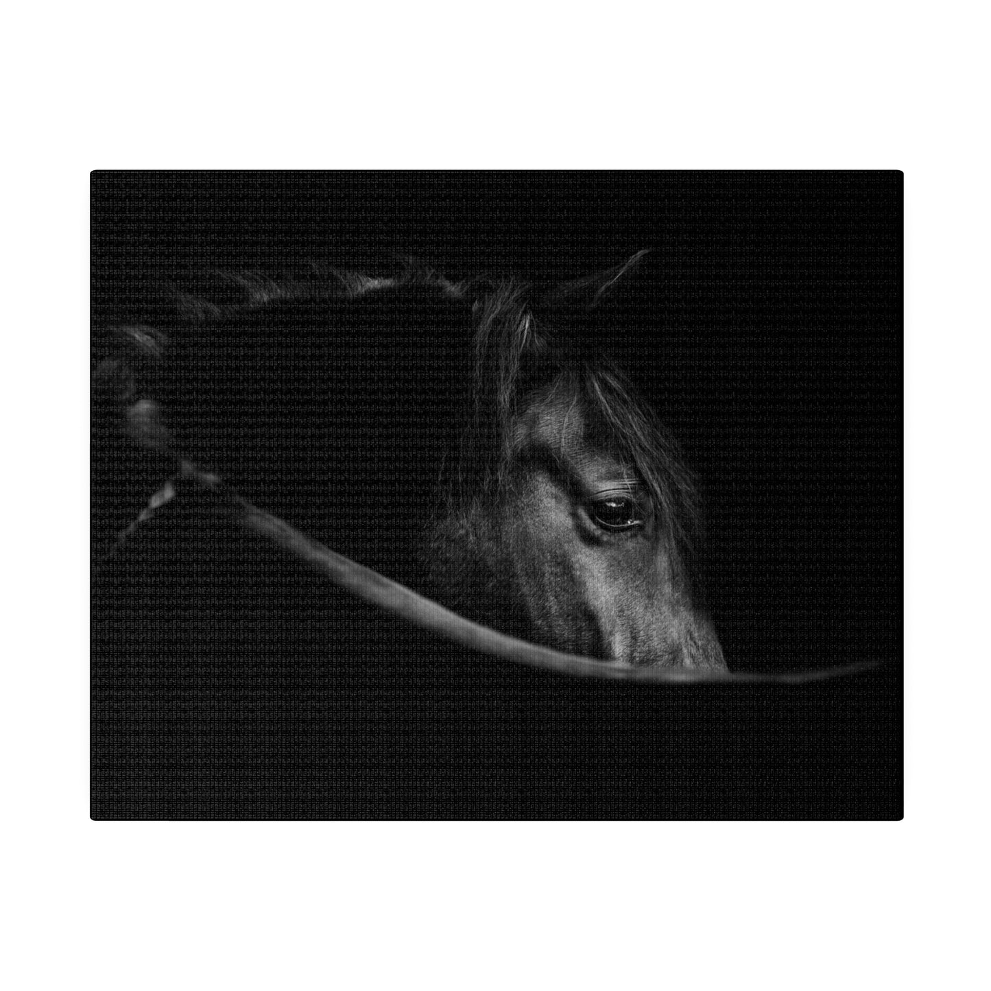 Black Beauty on Matte Canvas, Stretched, 0.75"