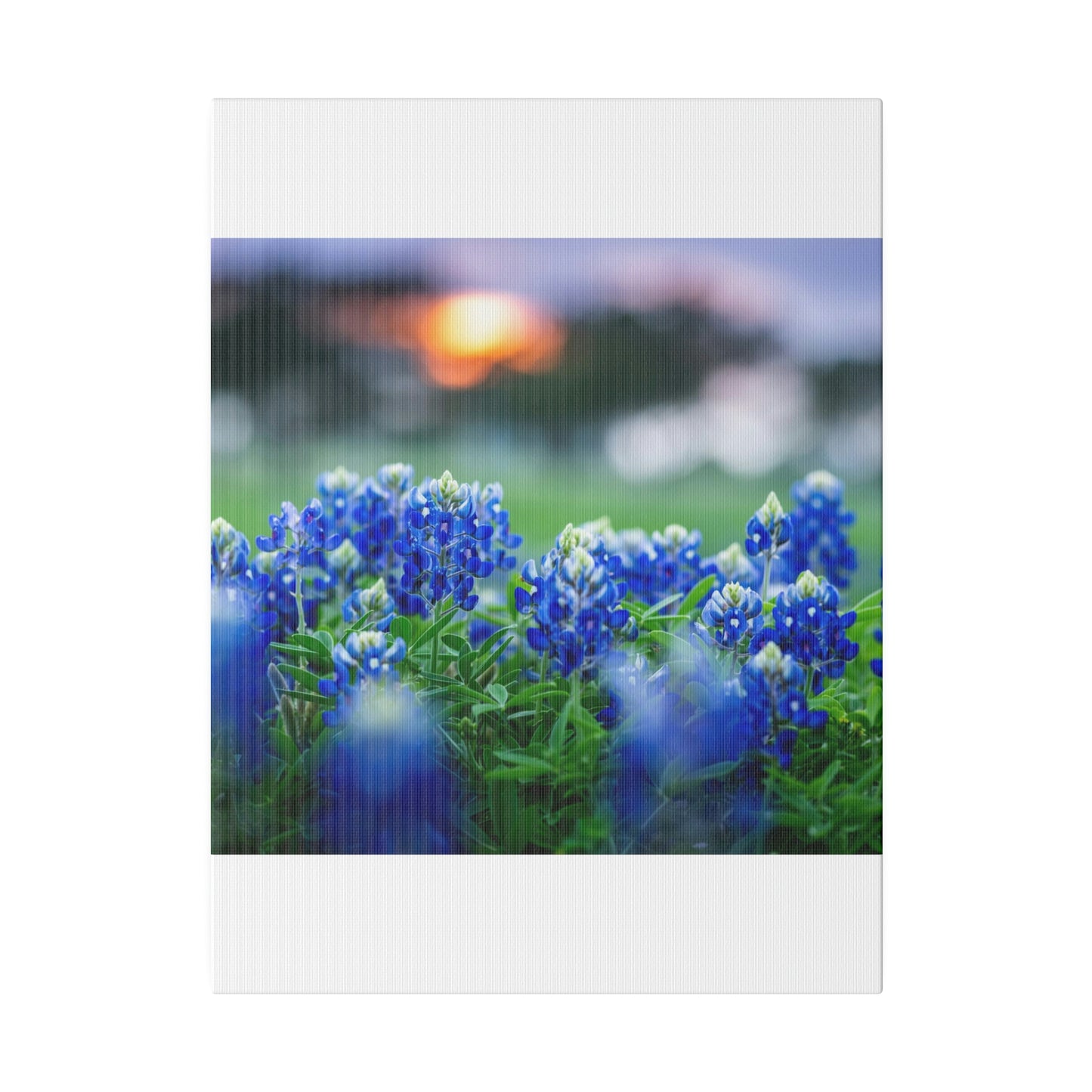 Blue Bonnets on matte Canvas, Stretched, 0.75"