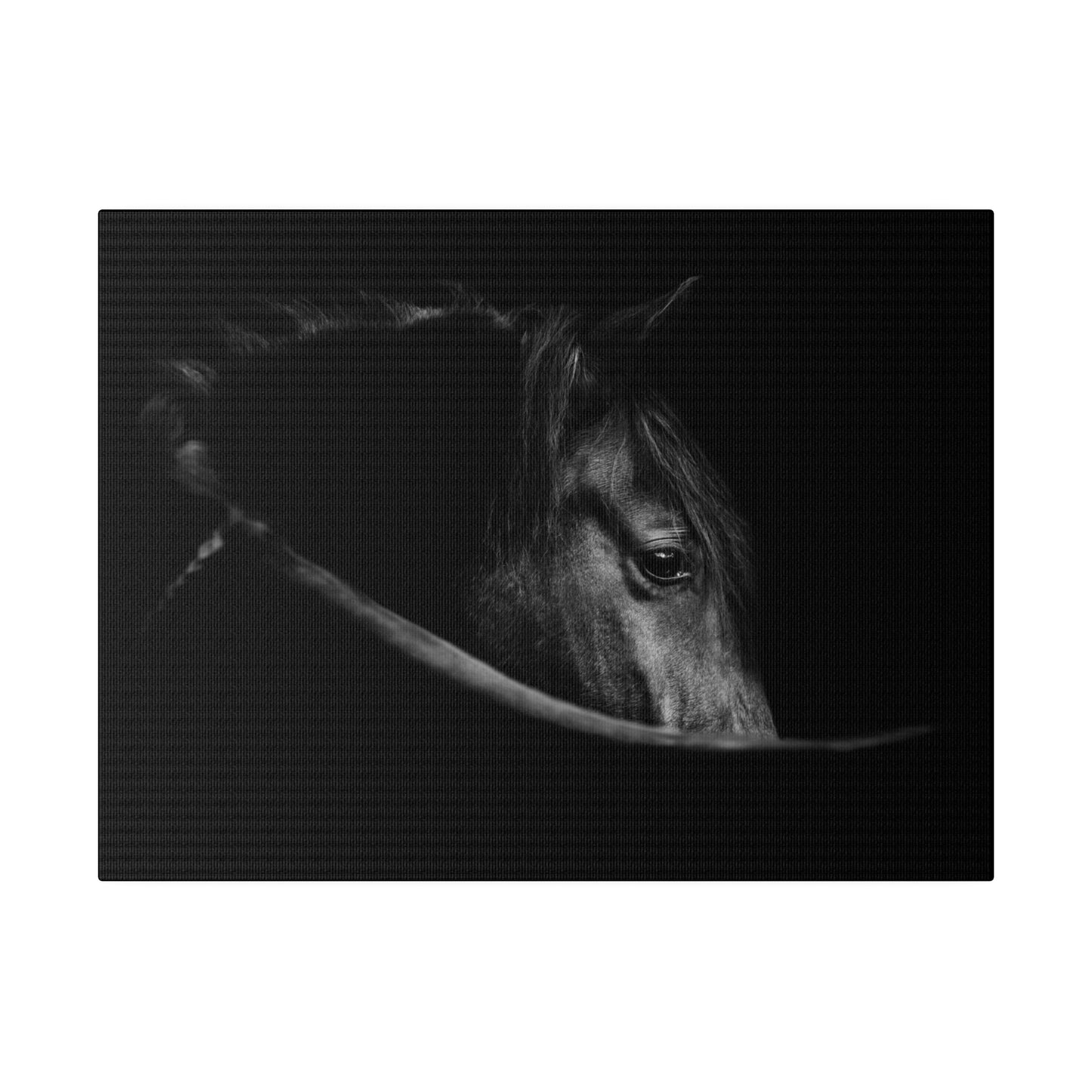 Black Beauty on Matte Canvas, Stretched, 0.75"