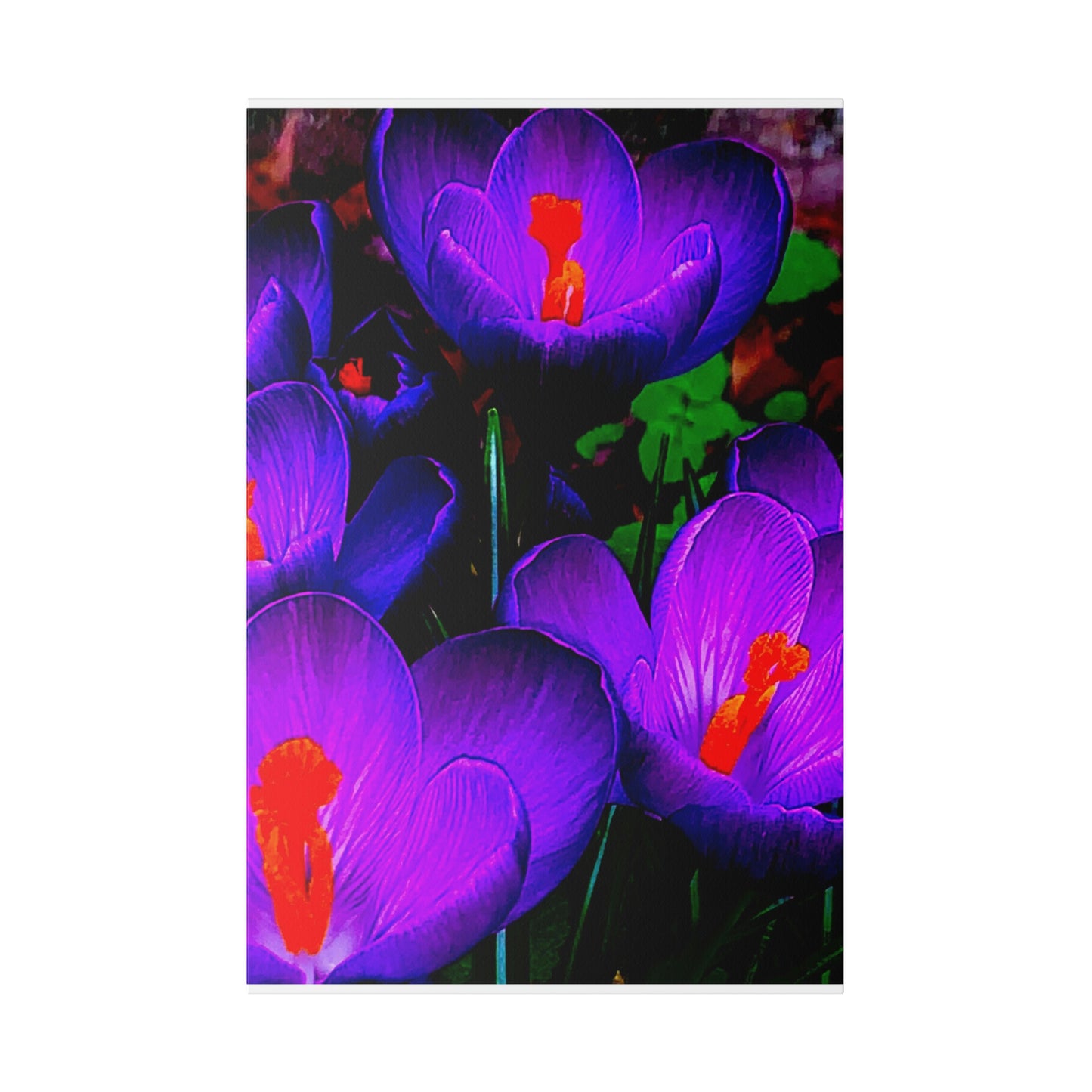 Purple Flowers on Matte Canvas, Stretched, 0.75"