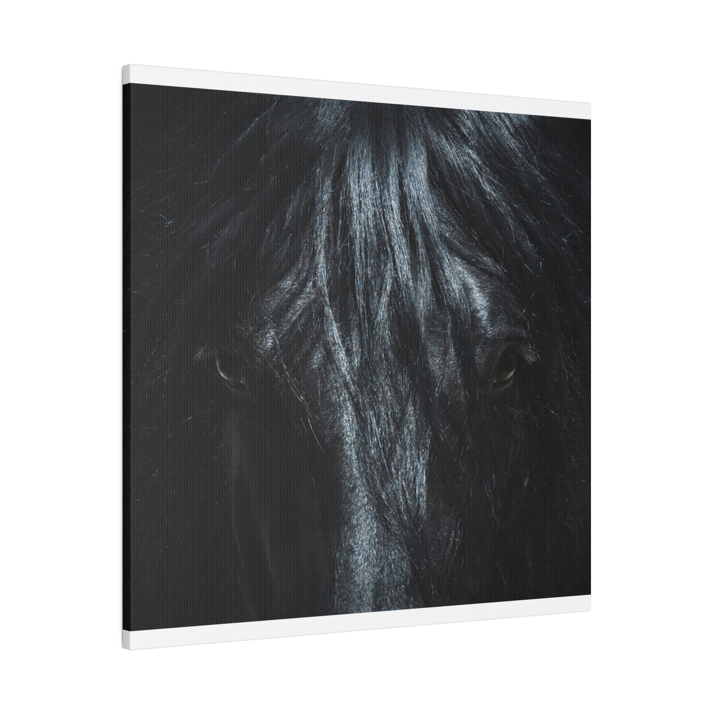 Black horse Face on Matte Canvas, Stretched, 0.75"