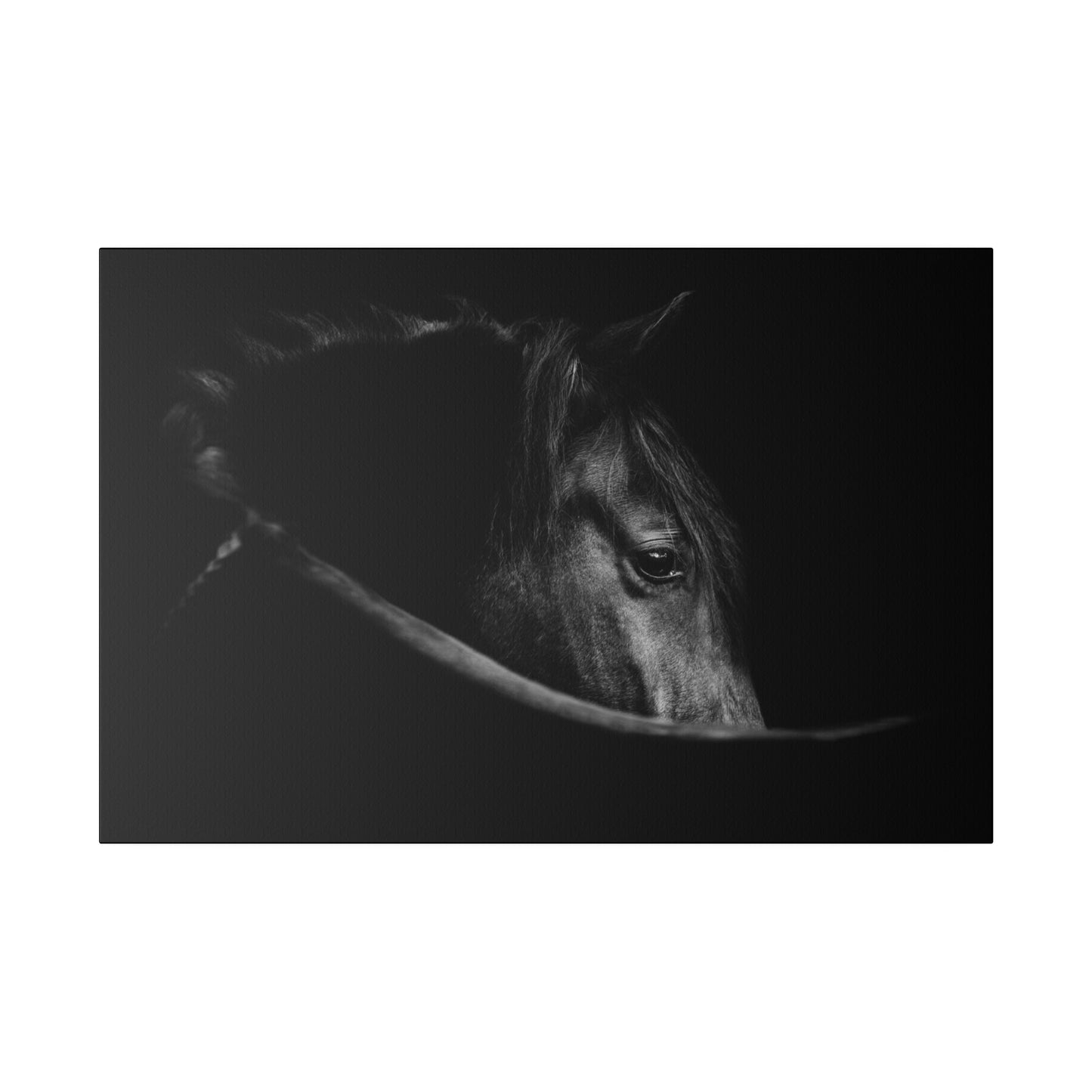 Black Beauty on Matte Canvas, Stretched, 0.75"