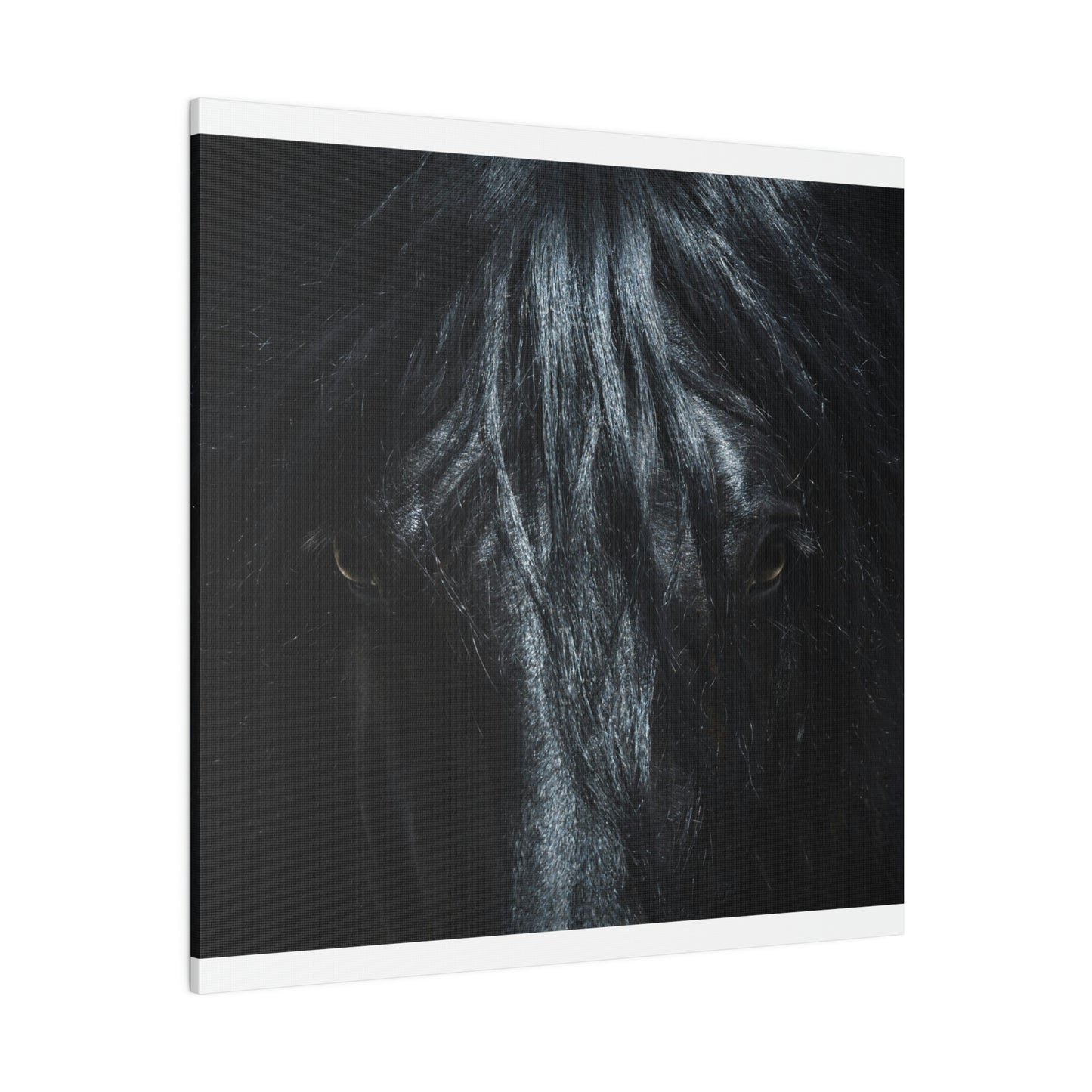 Black horse Face on Matte Canvas, Stretched, 0.75"