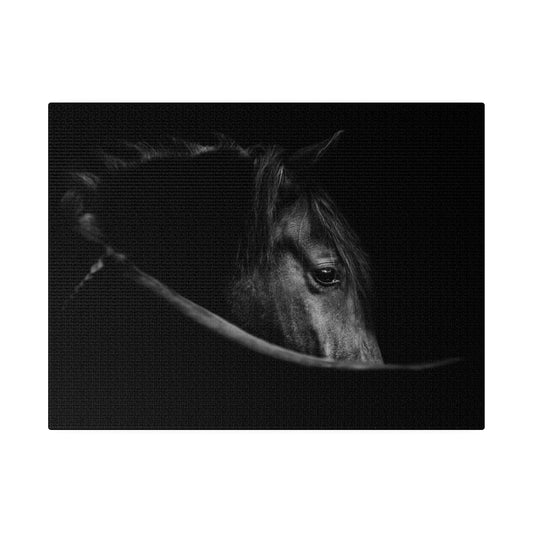 Black Beauty on Matte Canvas, Stretched, 0.75"