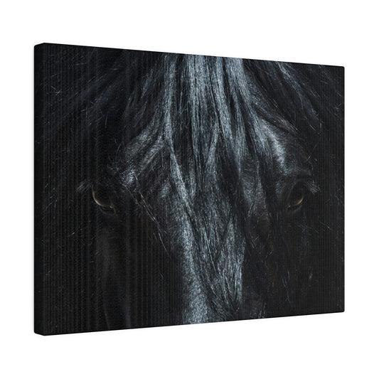 Black horse Face on Matte Canvas, Stretched, 0.75"