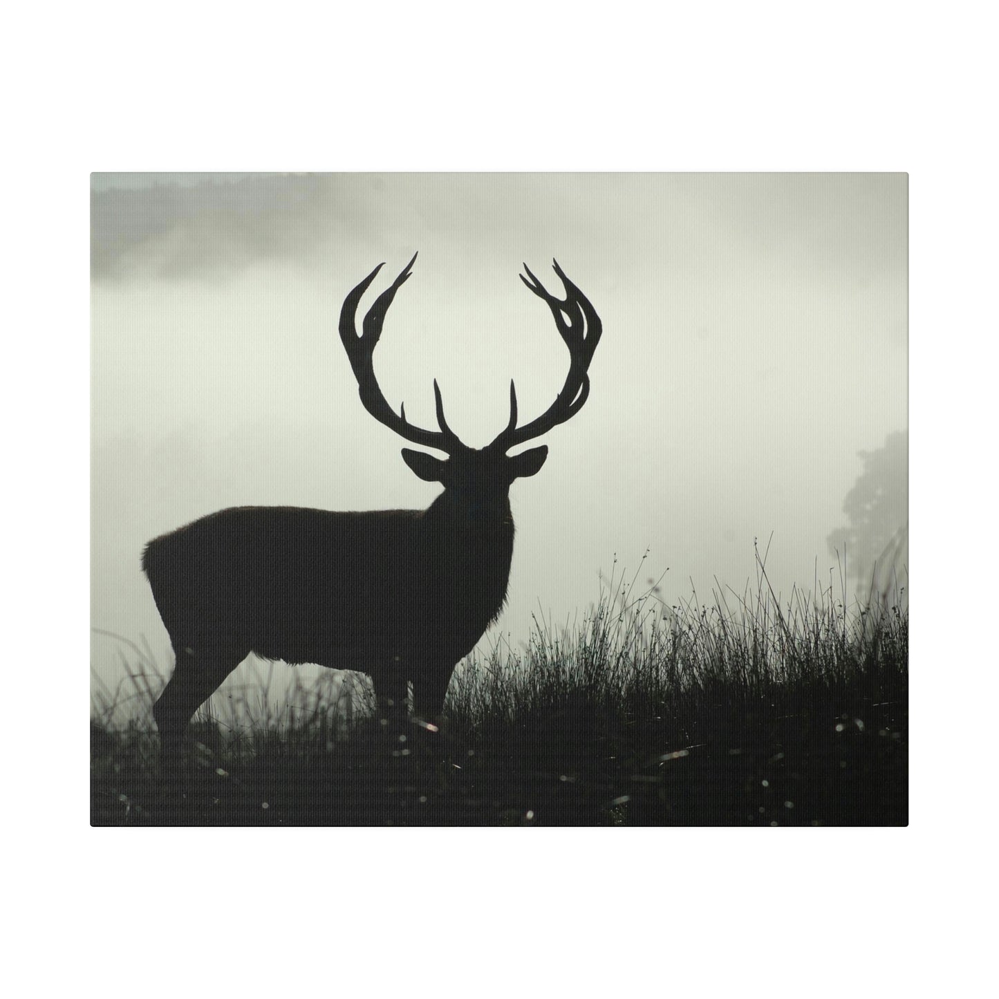 Big Buck on Matte Canvas, Stretched, 0.75"