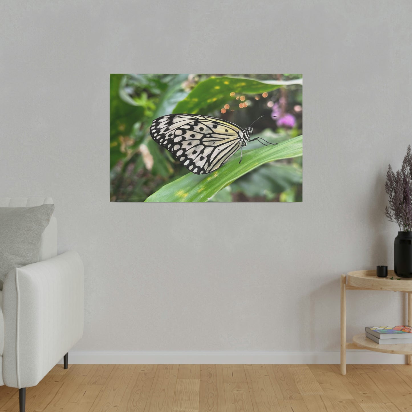 Black and White Butterfly on Matte Canvas, Stretched, 0.75"