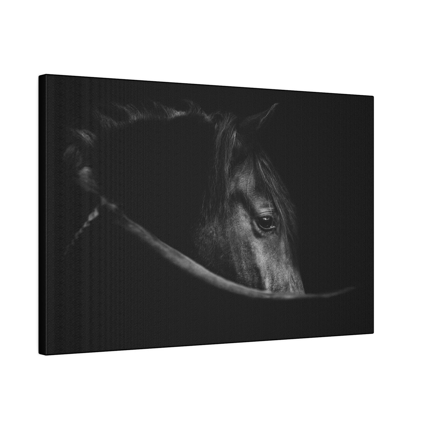 Black Beauty on Matte Canvas, Stretched, 0.75"