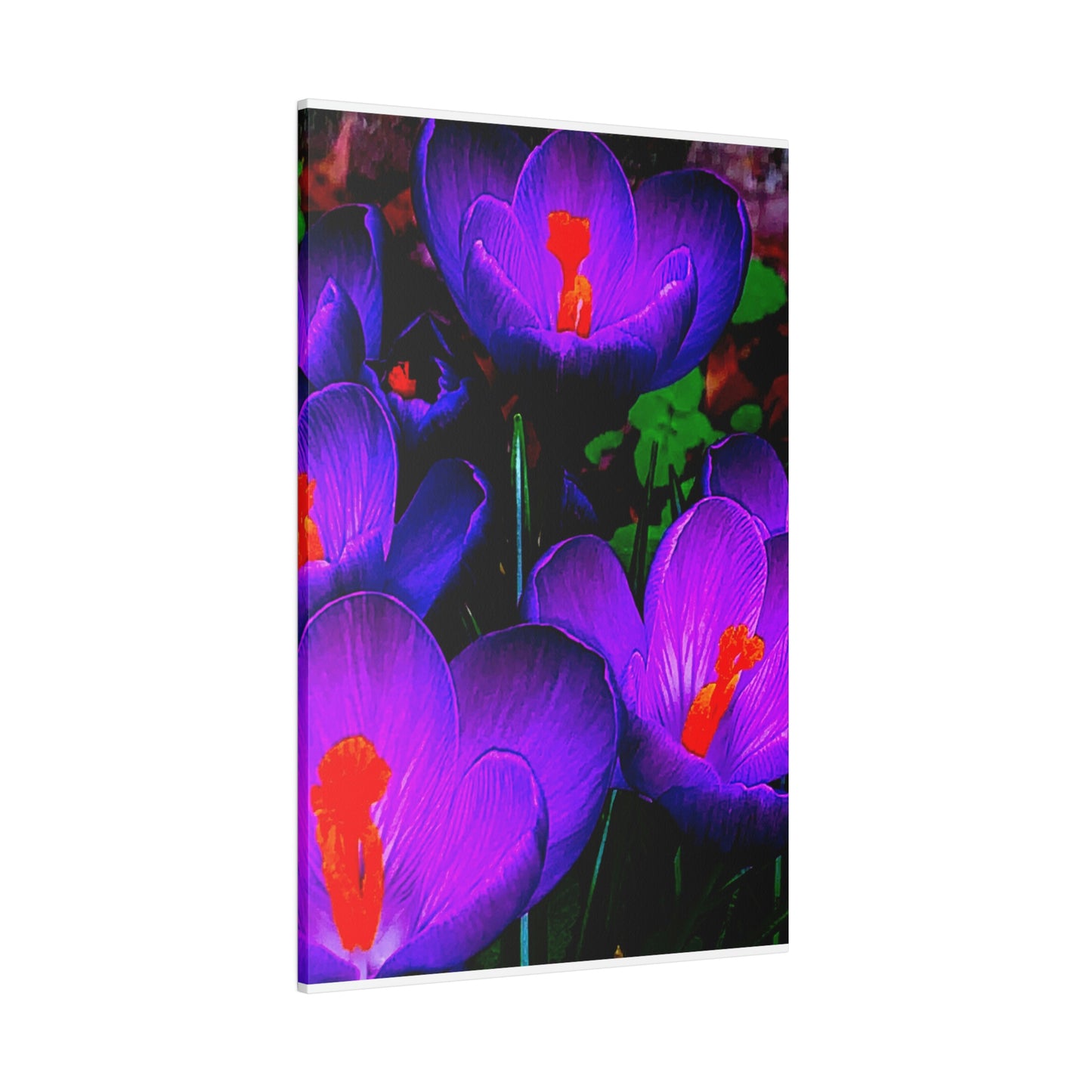 Purple Flowers on Matte Canvas, Stretched, 0.75"