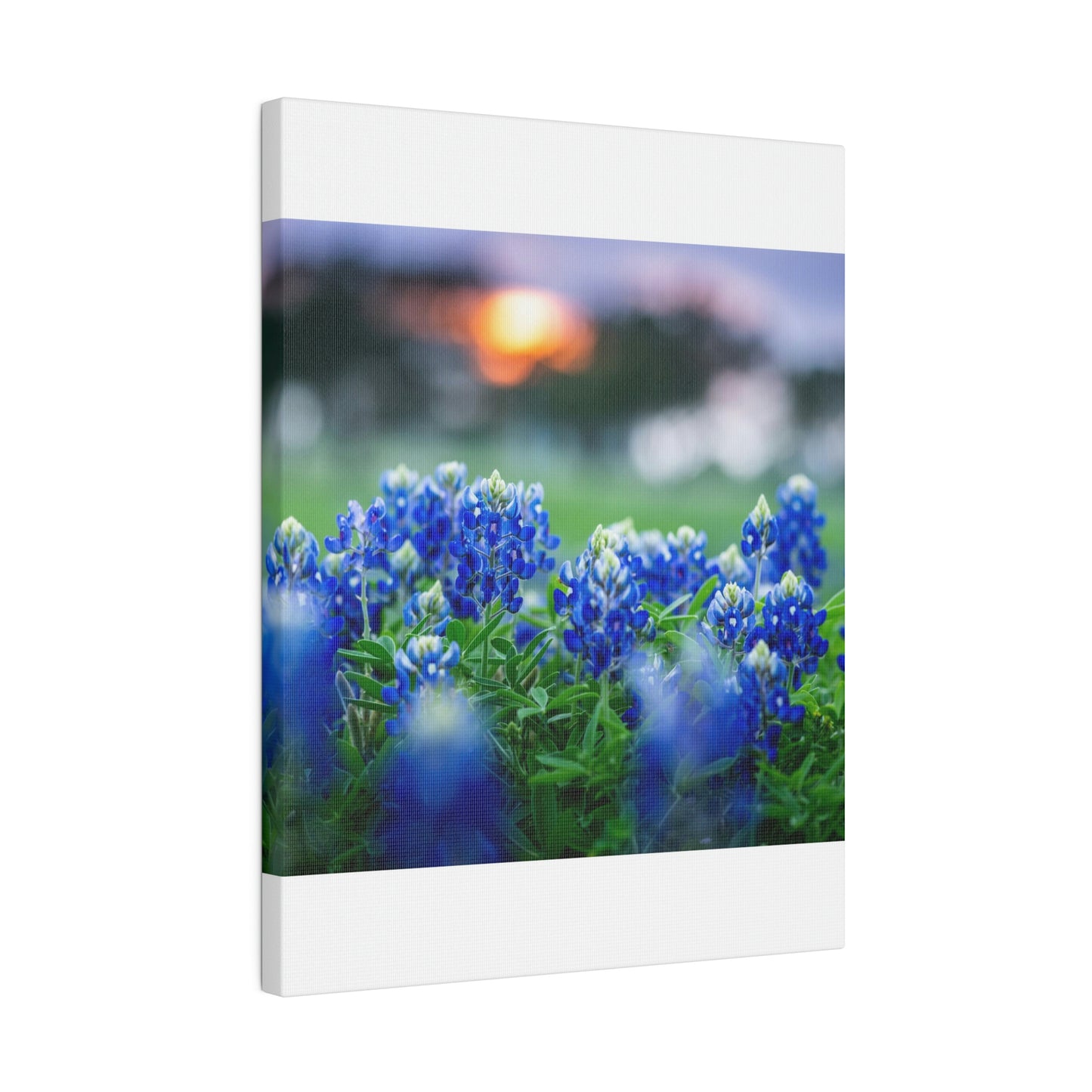 Blue Bonnets on matte Canvas, Stretched, 0.75"