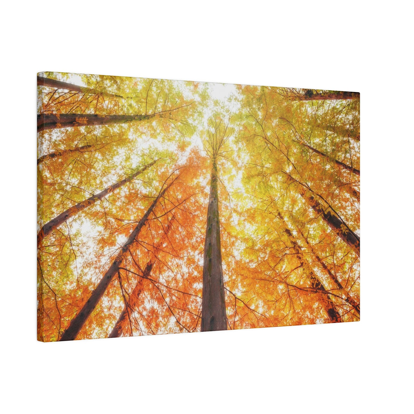 A fall Dream on Matte Canvas, Stretched, 0.75"