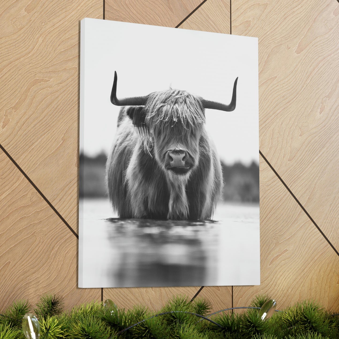 Highland Cow in water