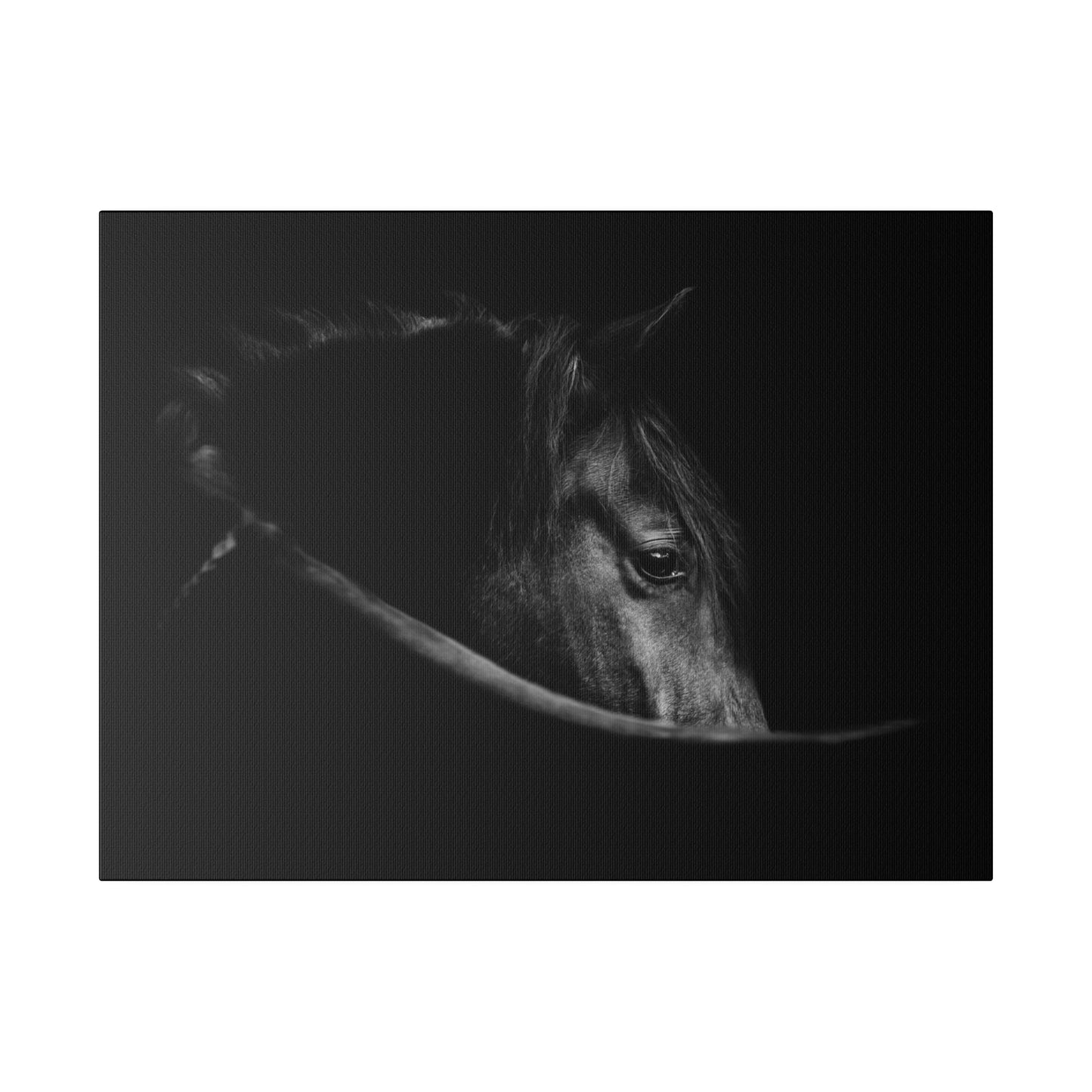 Black Beauty on Matte Canvas, Stretched, 0.75"