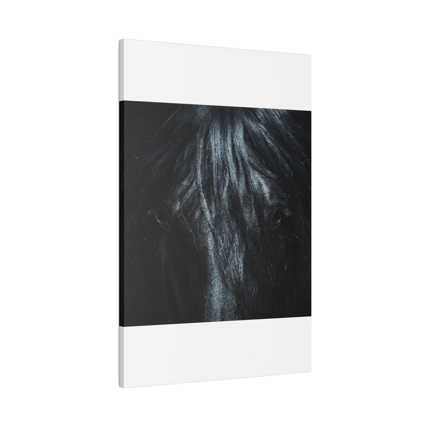 Black horse Face on Matte Canvas, Stretched, 0.75"