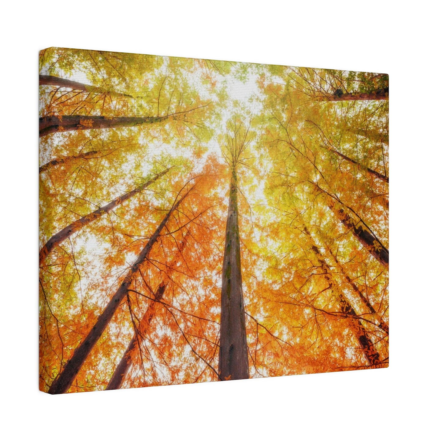 A fall Dream on Matte Canvas, Stretched, 0.75"