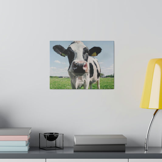 Black and White Cow, Matte Canvas, Stretched, 0.75"