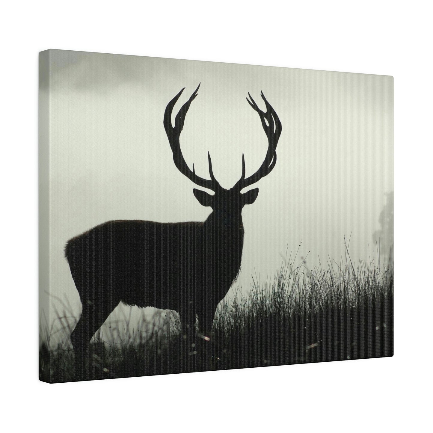 Big Buck on Matte Canvas, Stretched, 0.75"