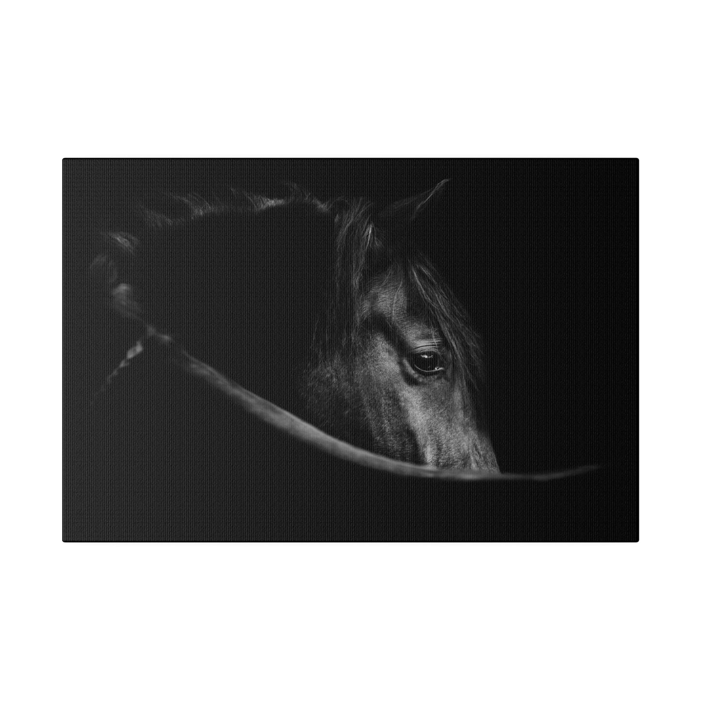 Black Beauty on Matte Canvas, Stretched, 0.75"