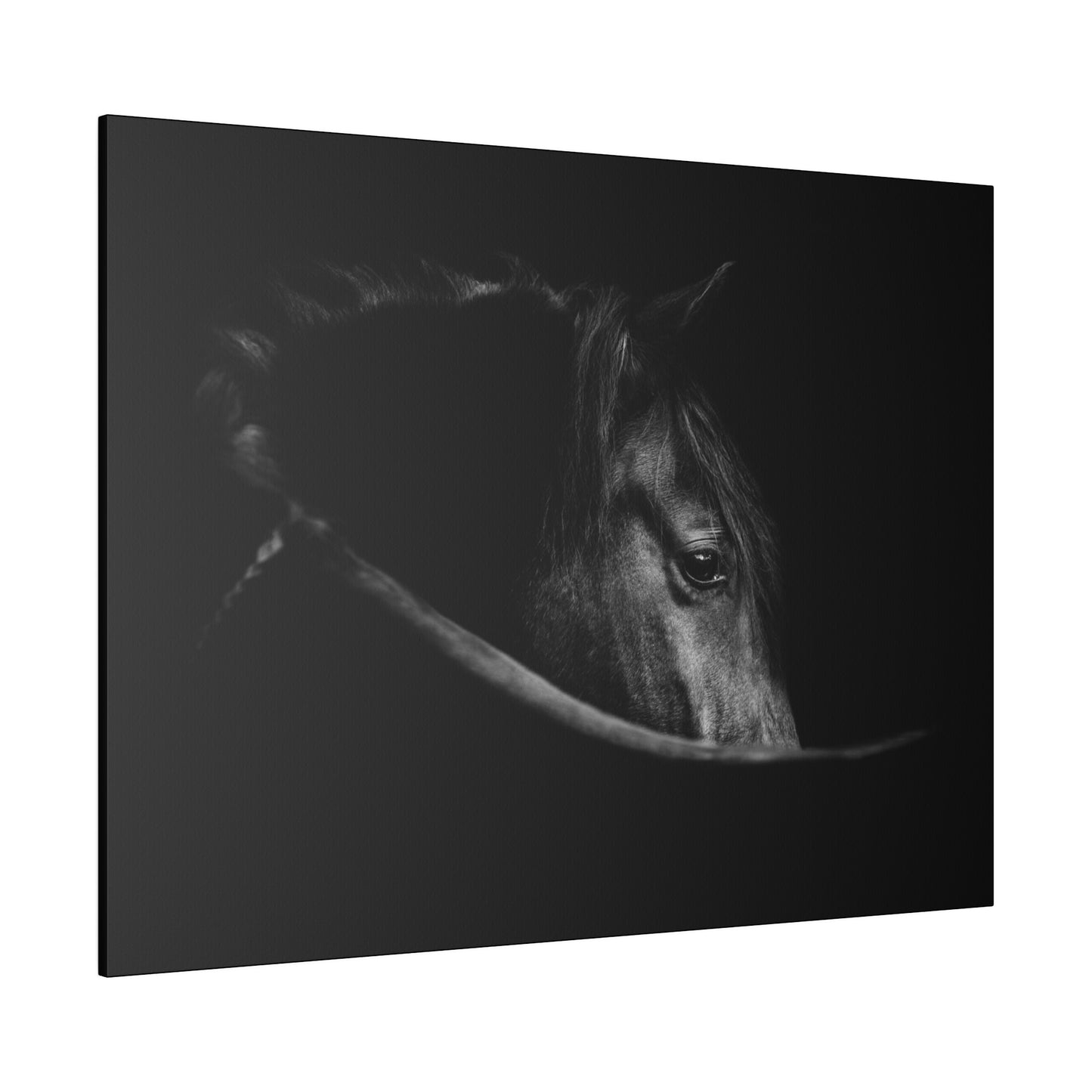 Black Beauty on Matte Canvas, Stretched, 0.75"