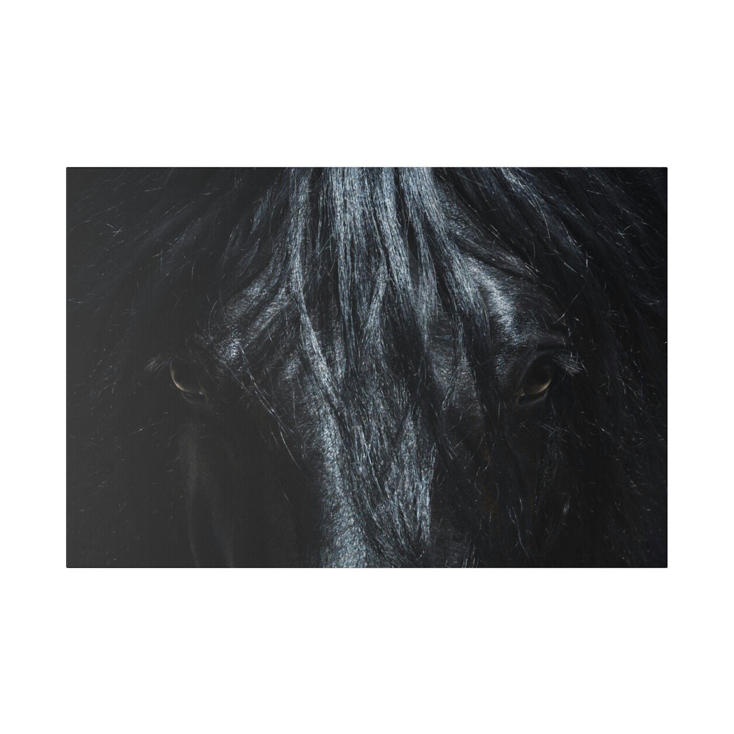 Black horse Face on Matte Canvas, Stretched, 0.75"