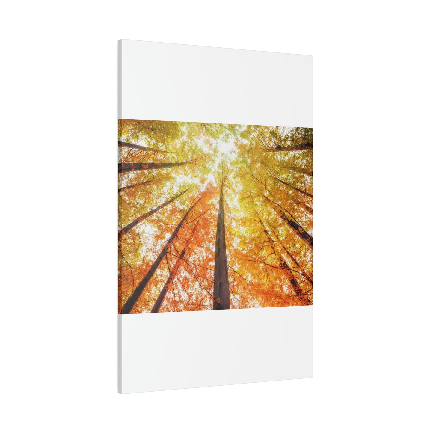 A fall Dream on Matte Canvas, Stretched, 0.75"