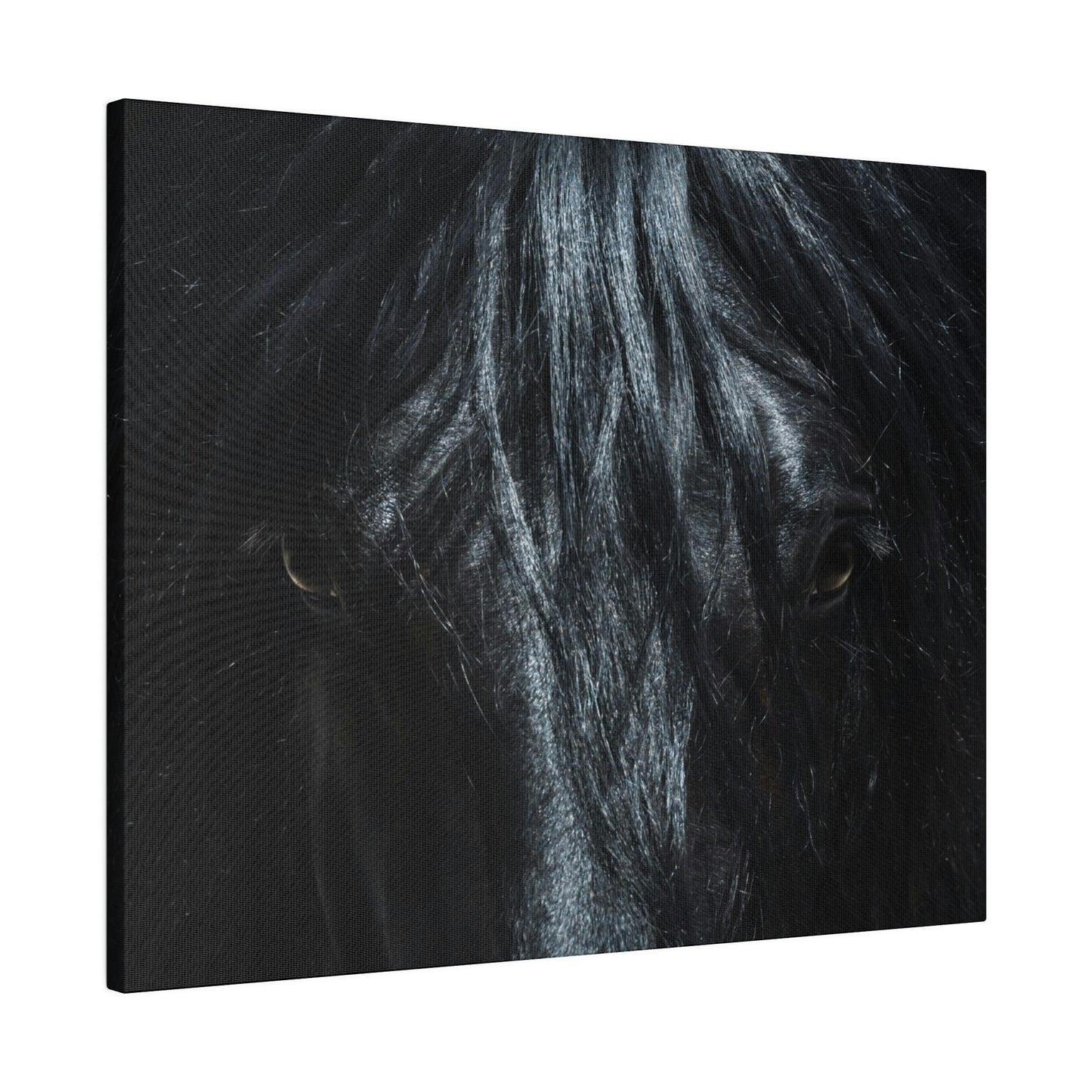 Black horse Face on Matte Canvas, Stretched, 0.75"