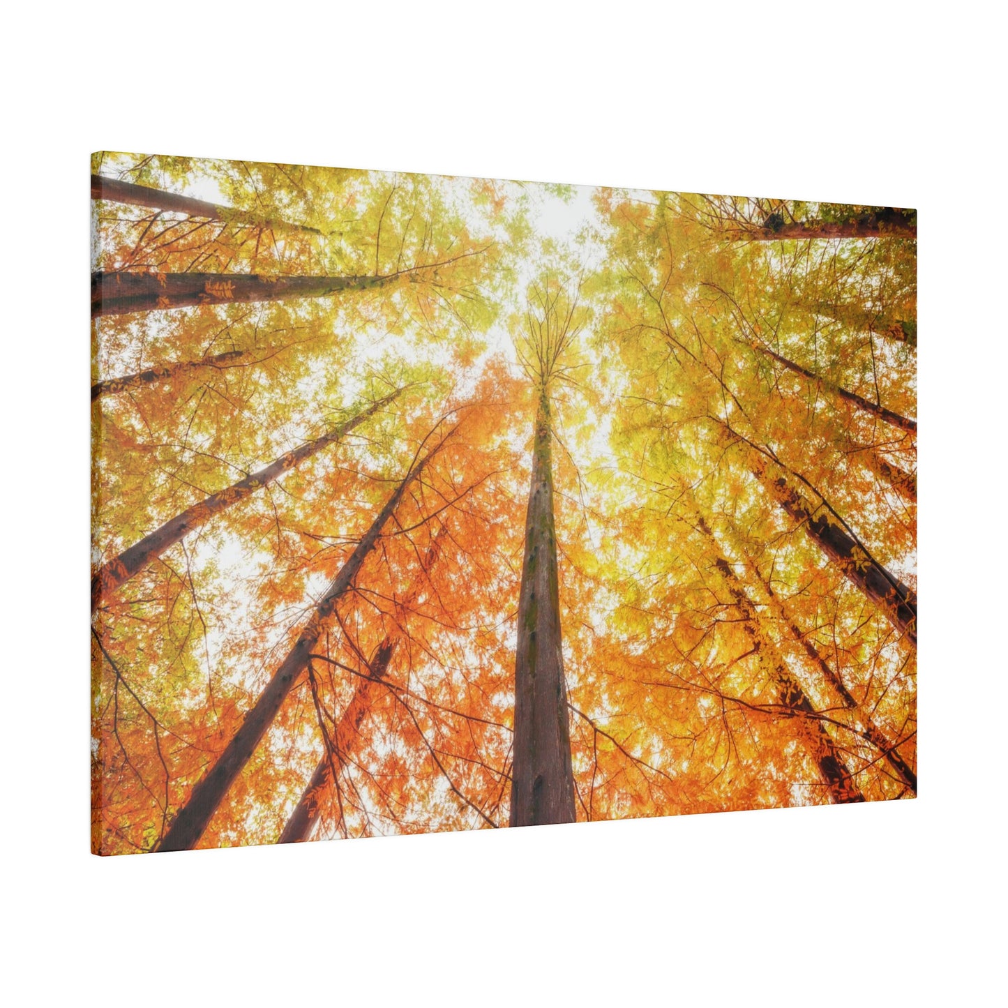 A fall Dream on Matte Canvas, Stretched, 0.75"