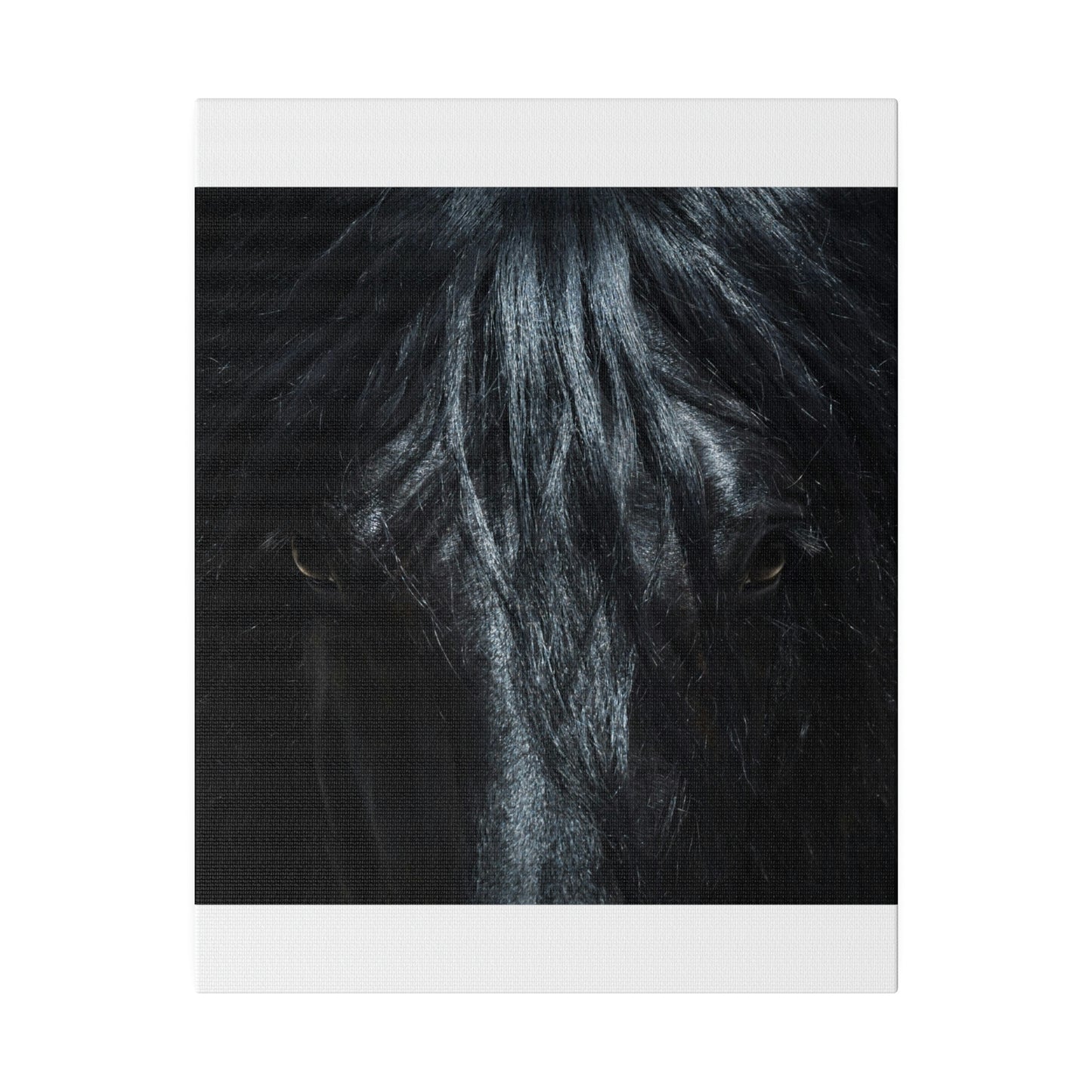 Black horse Face on Matte Canvas, Stretched, 0.75"