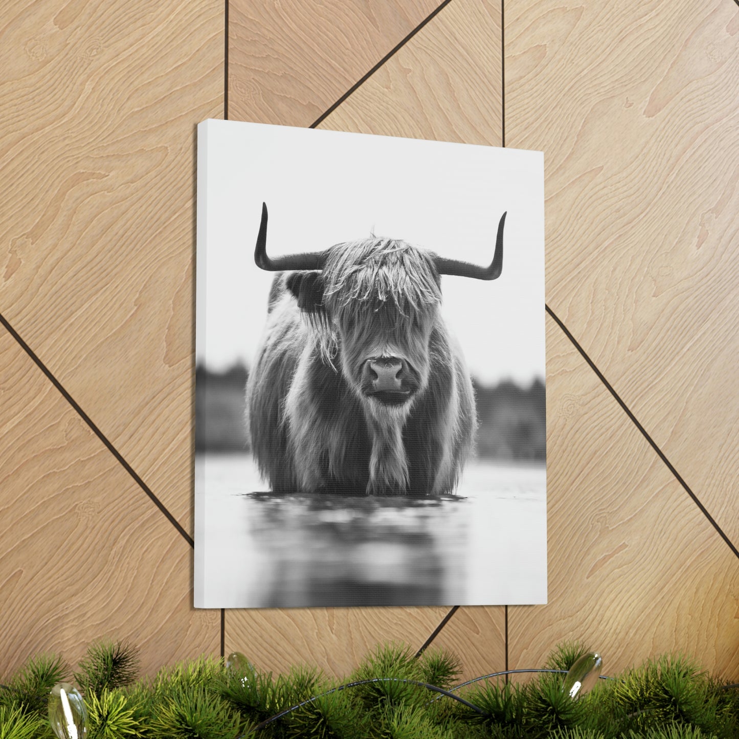 Highland Cow in water