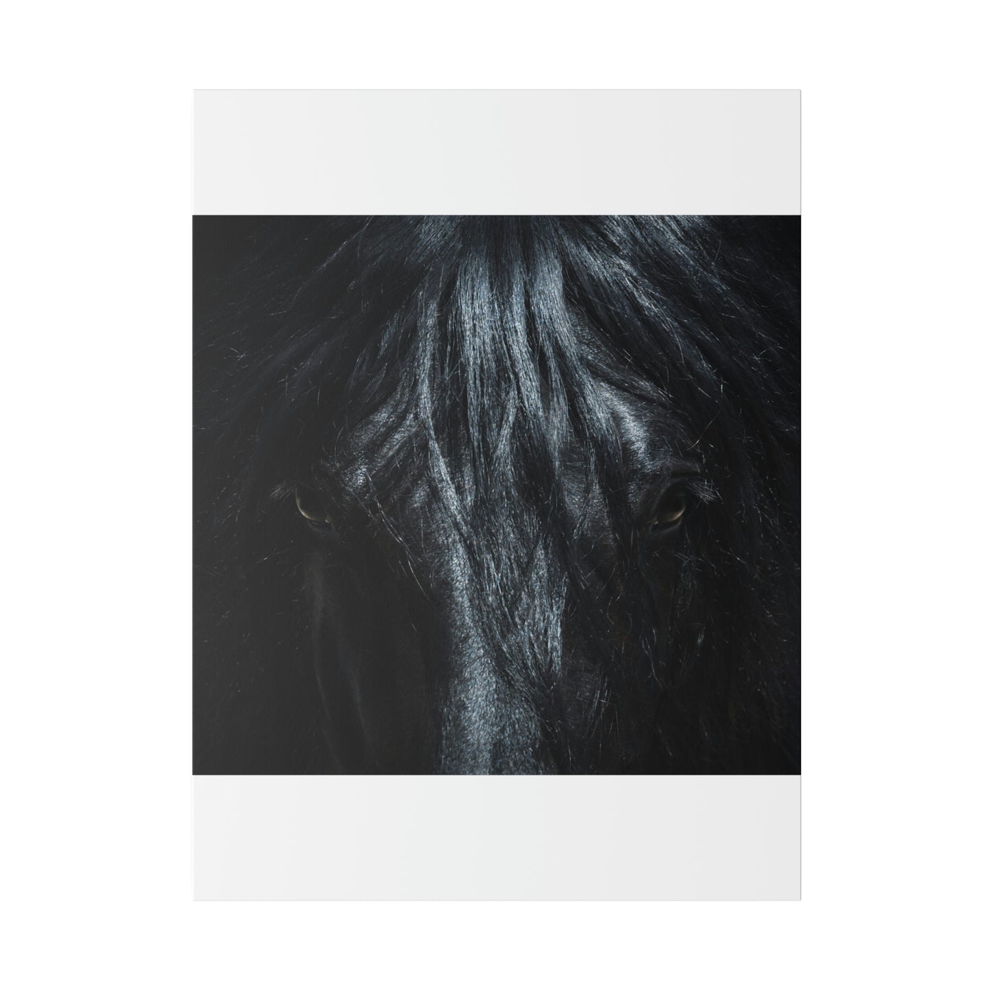 Black horse Face on Matte Canvas, Stretched, 0.75"