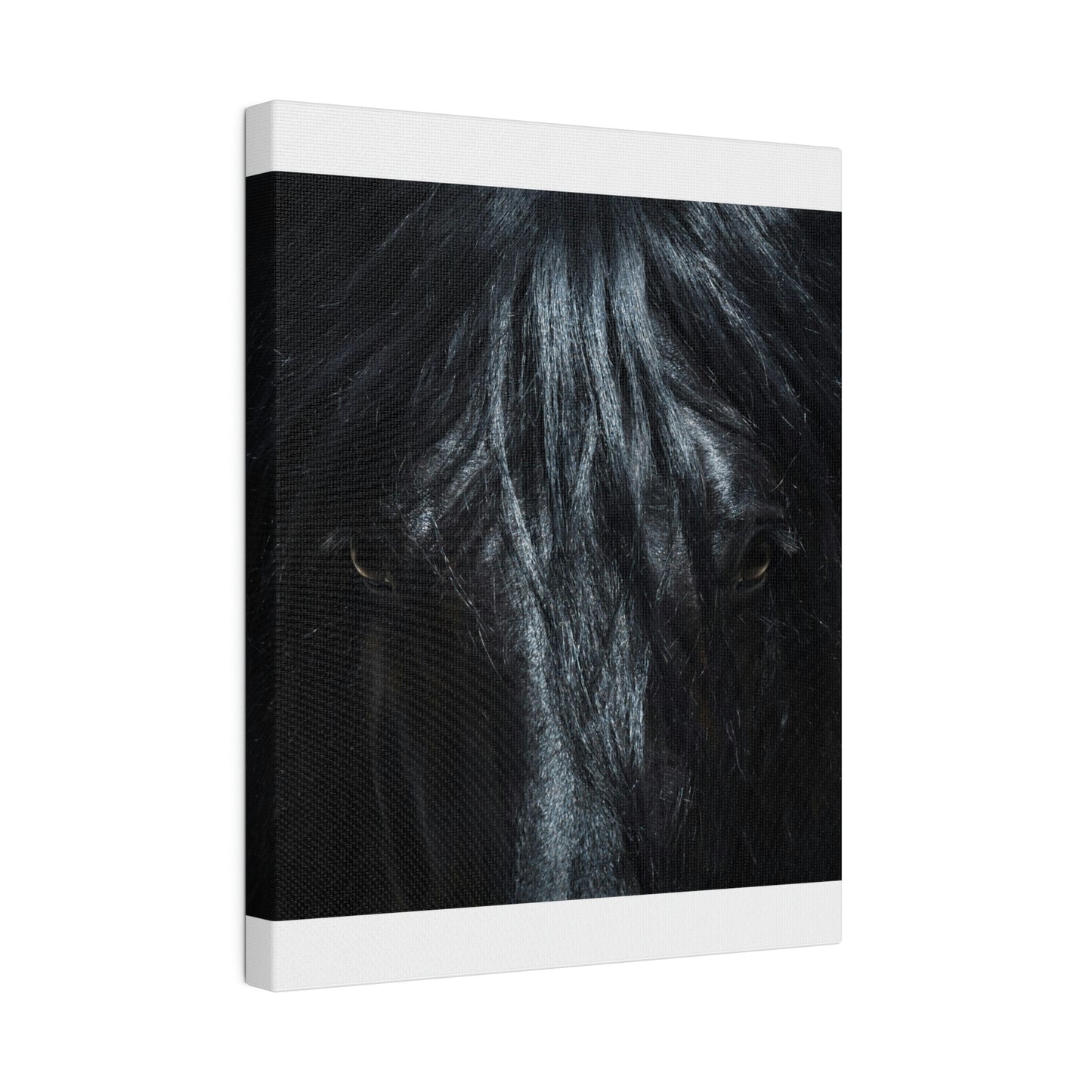 Black horse Face on Matte Canvas, Stretched, 0.75"