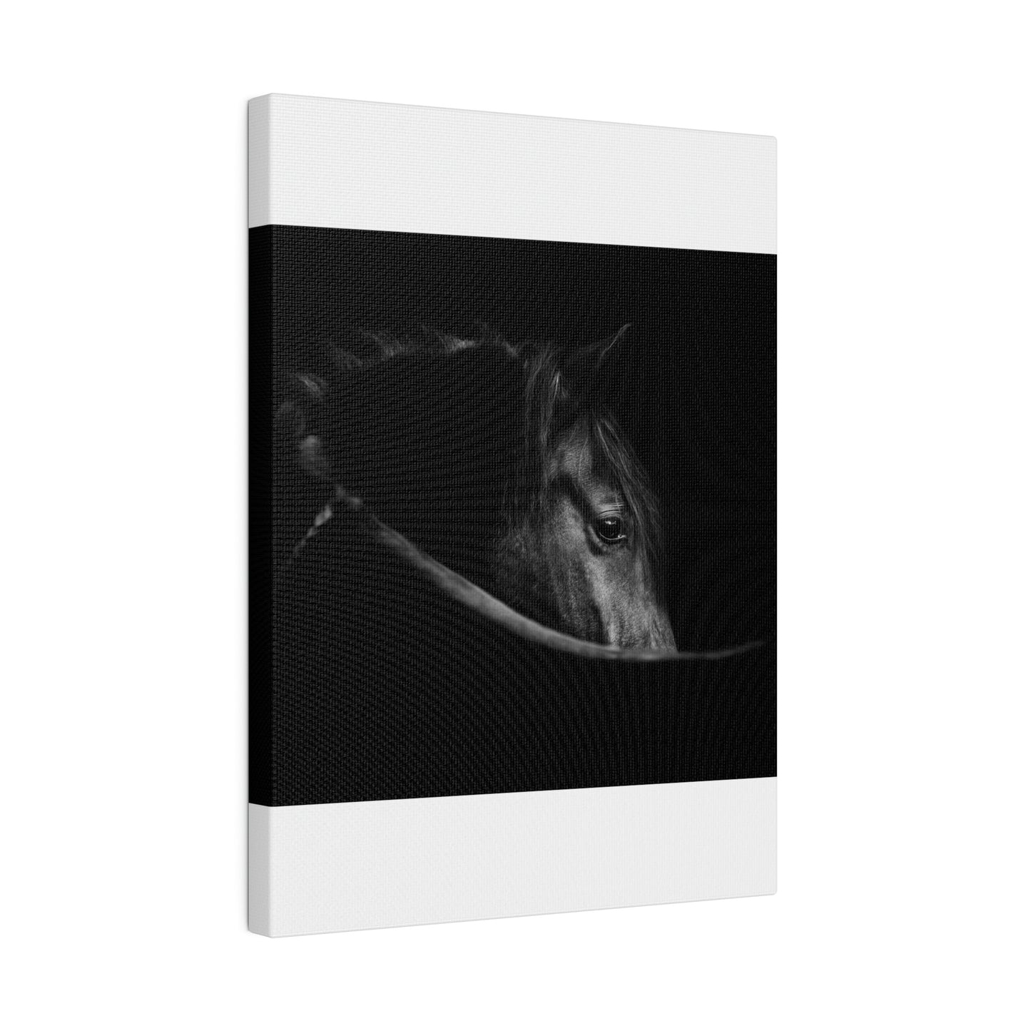 Black Beauty on Matte Canvas, Stretched, 0.75"